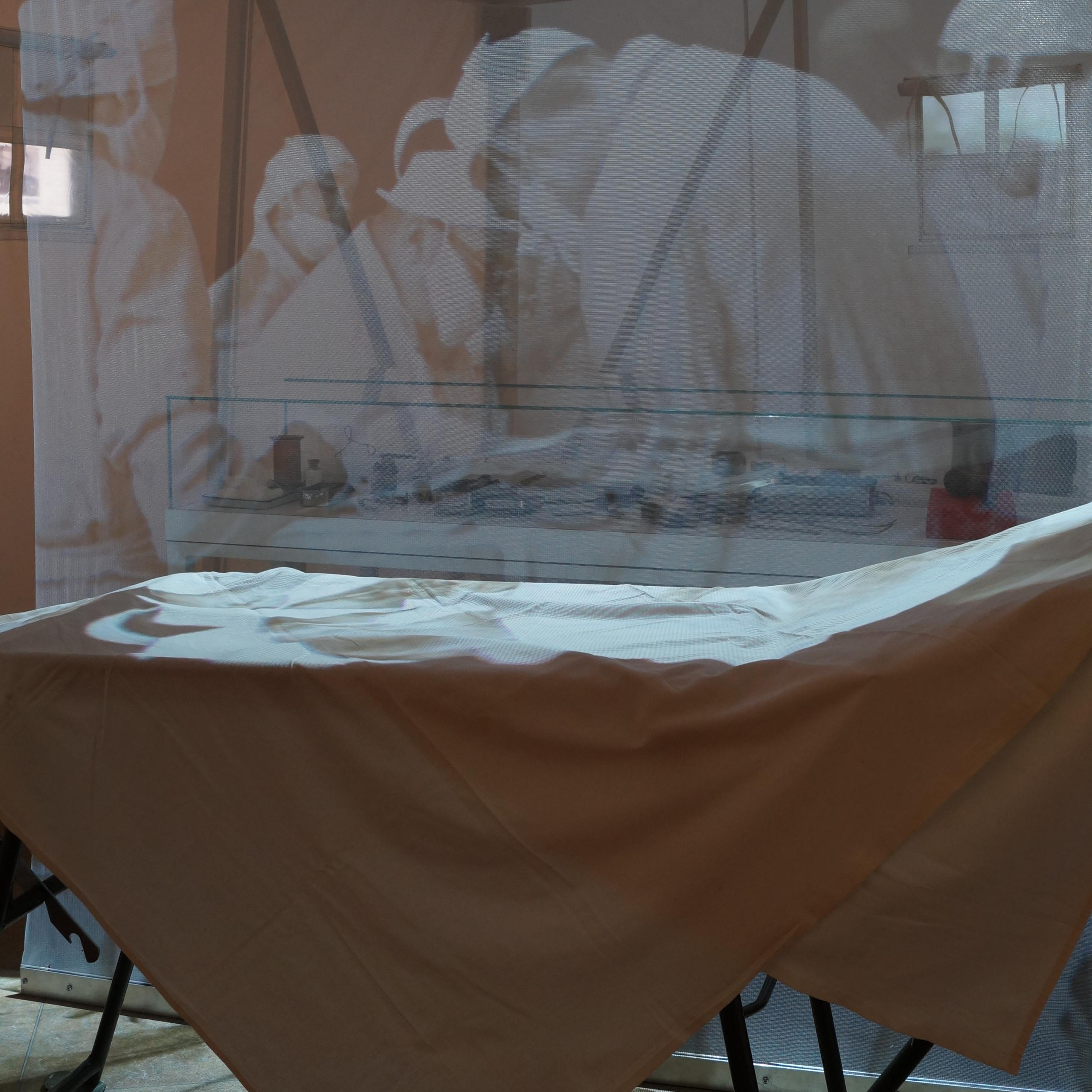 Музей медицины: обзор проекционной сетки