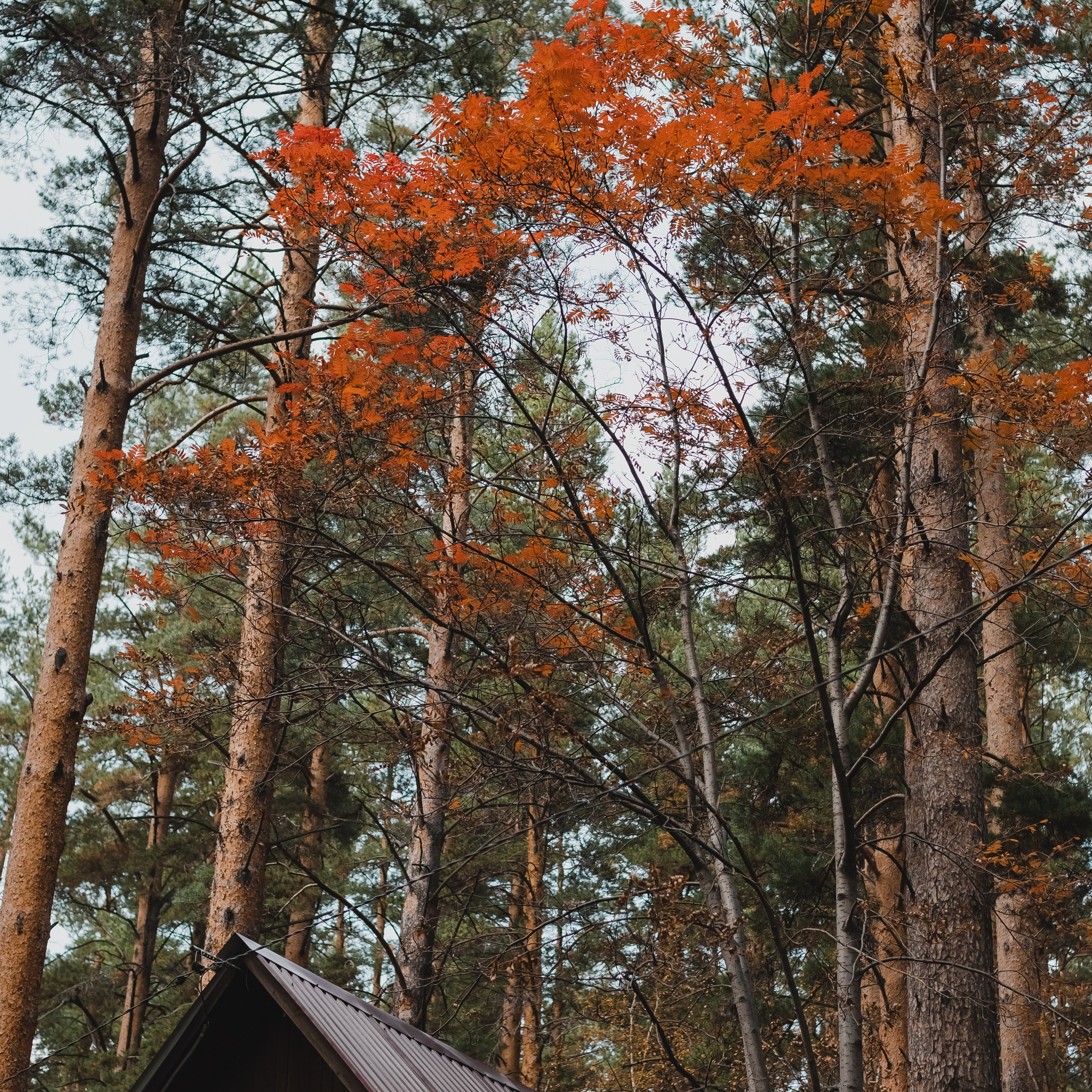 Отзывы. Свадебный и семейный фотограф Катя Шайни