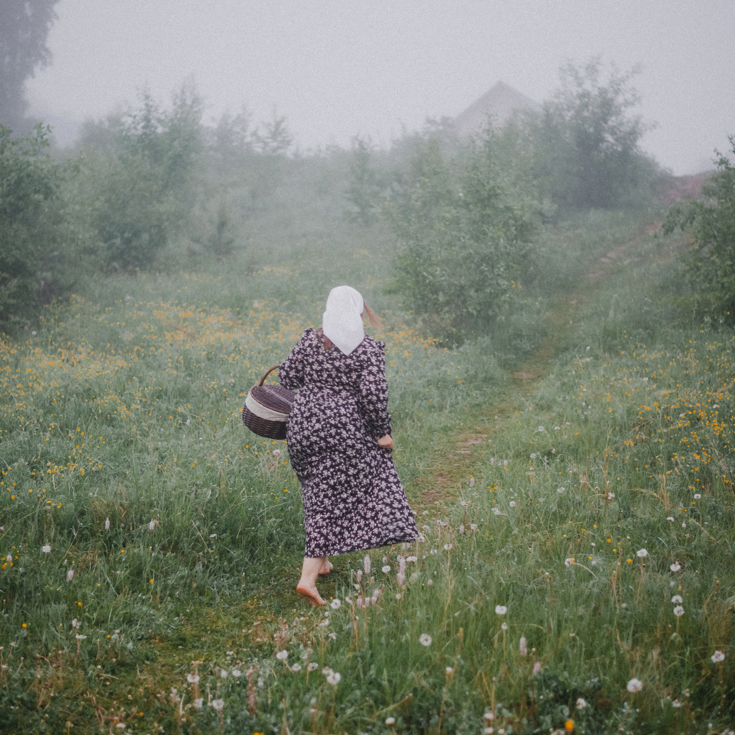 Отзывы. Свадебный и семейный фотограф Катя Шайни