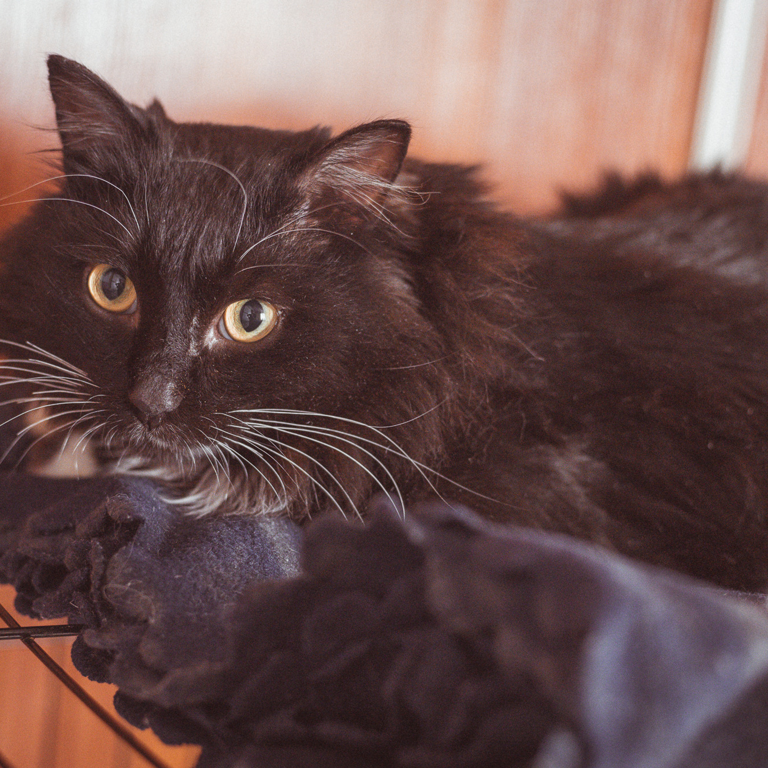 Отзывы о работе фотографа Репина Антона в Екатеринбурге