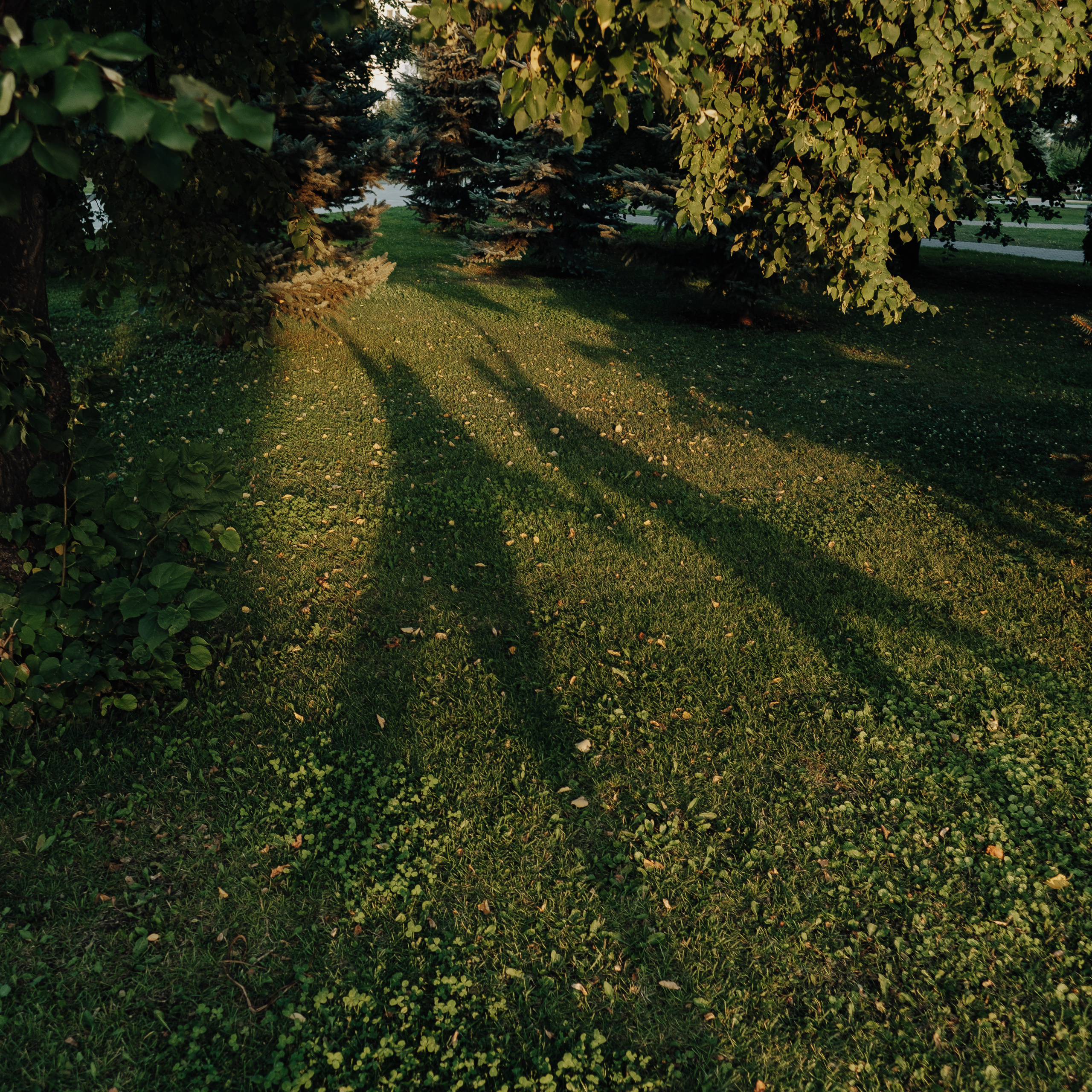 ОТЗЫВЫ. ANNSENSUS