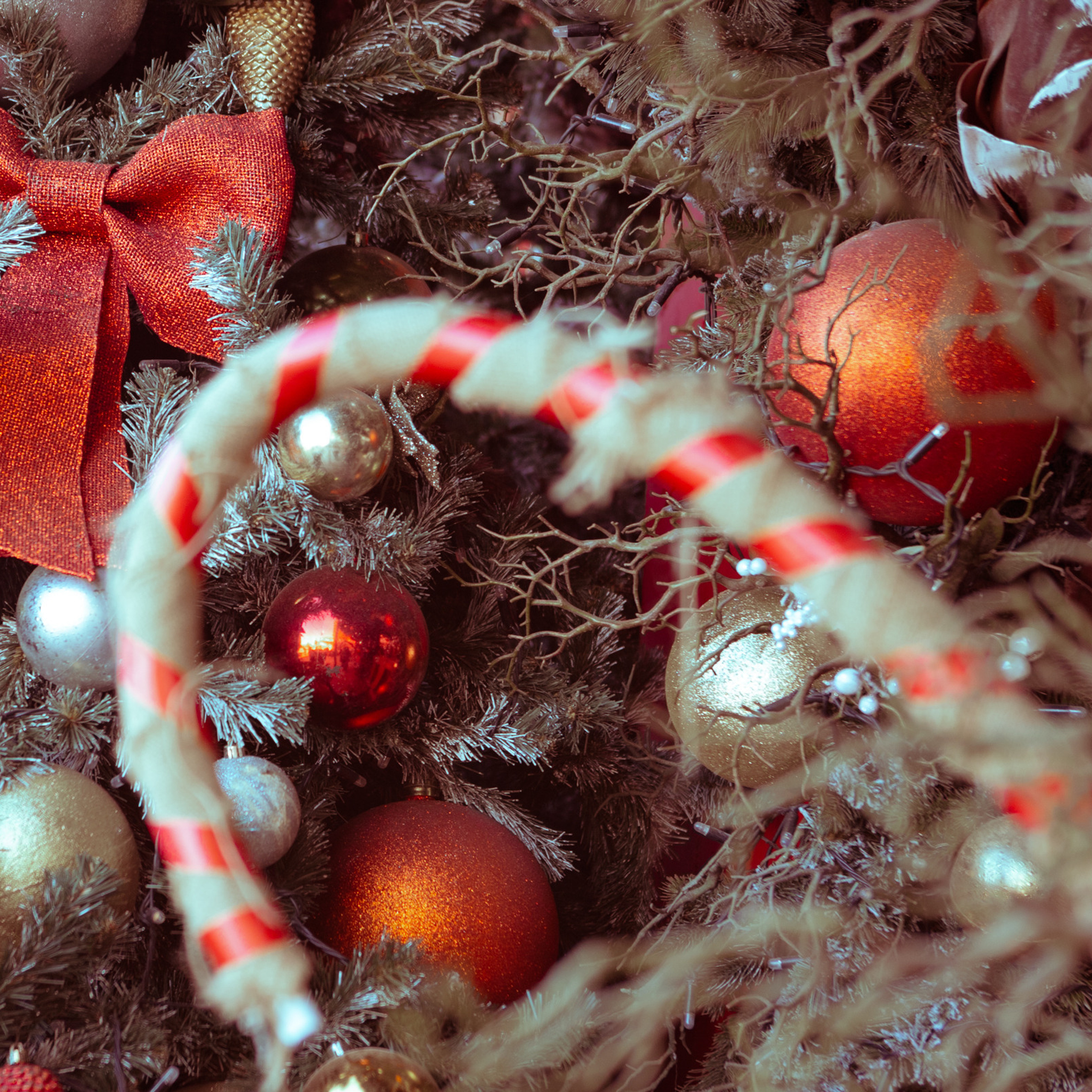 Отзывы. Фотограф в Санкт-Петербурге Степанская Юлия