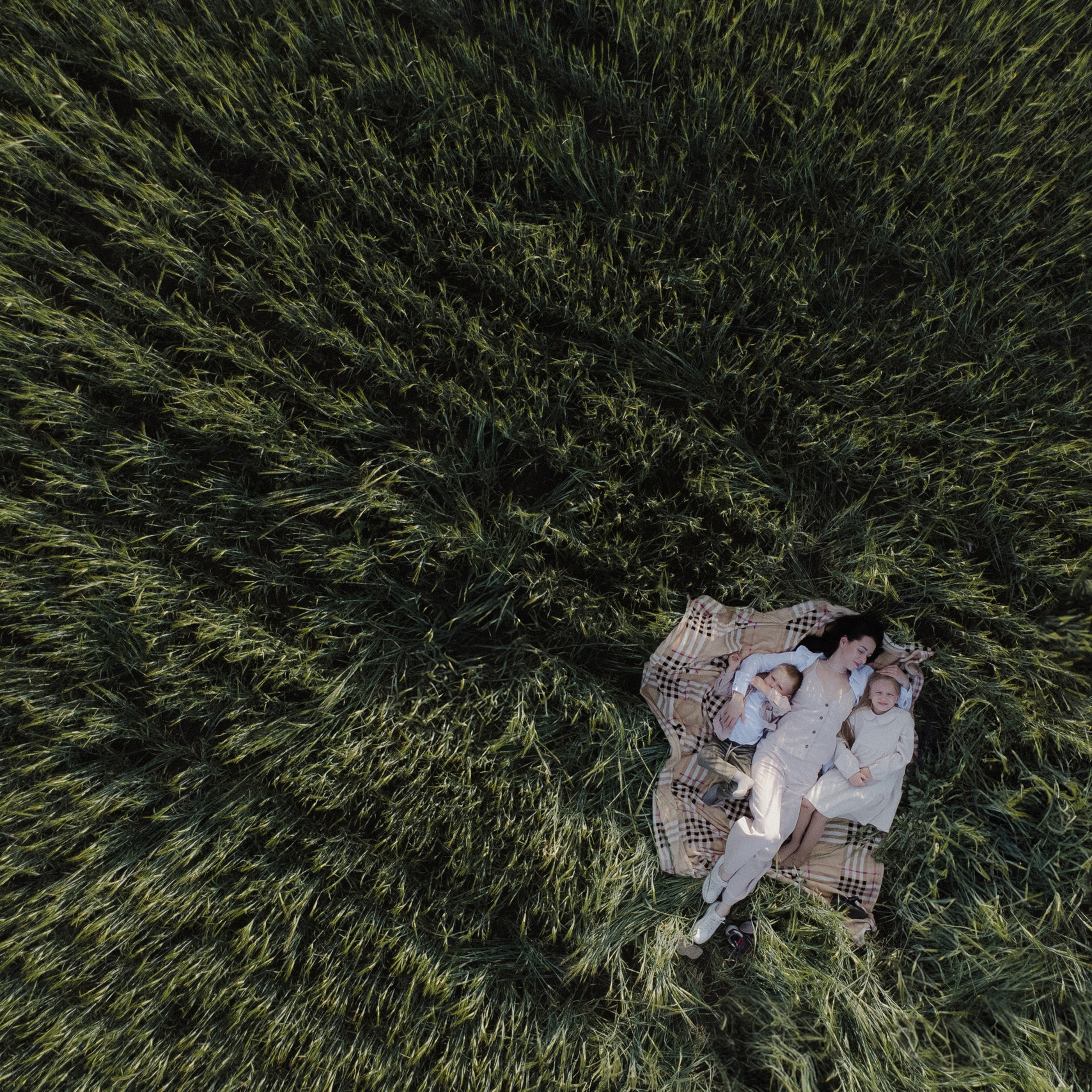 Отзывы. Свадебный и семейный фотограф в Санкт-Петербурге Дмитрий Панин