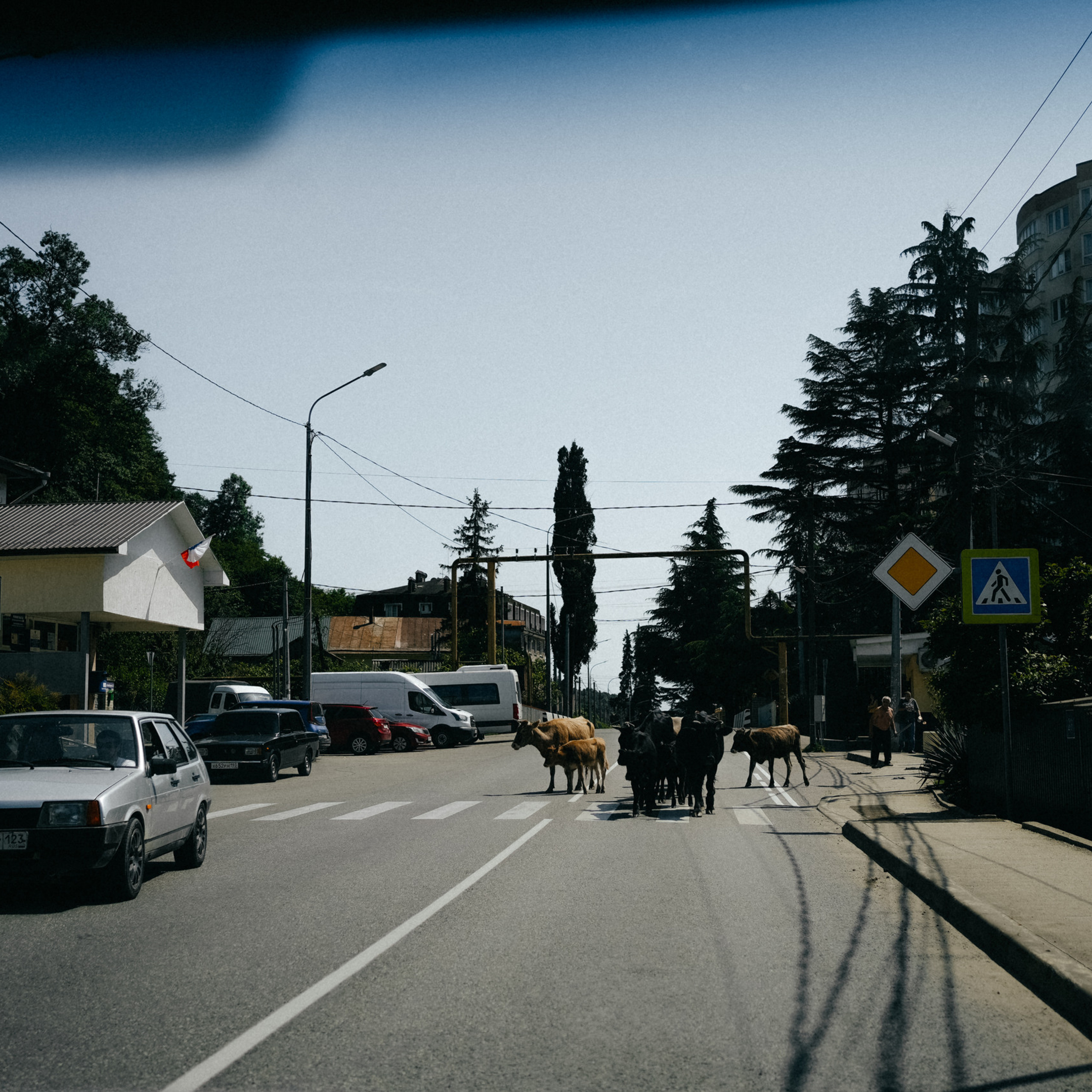 Отзывы. Фотограф Перевозкина Анна