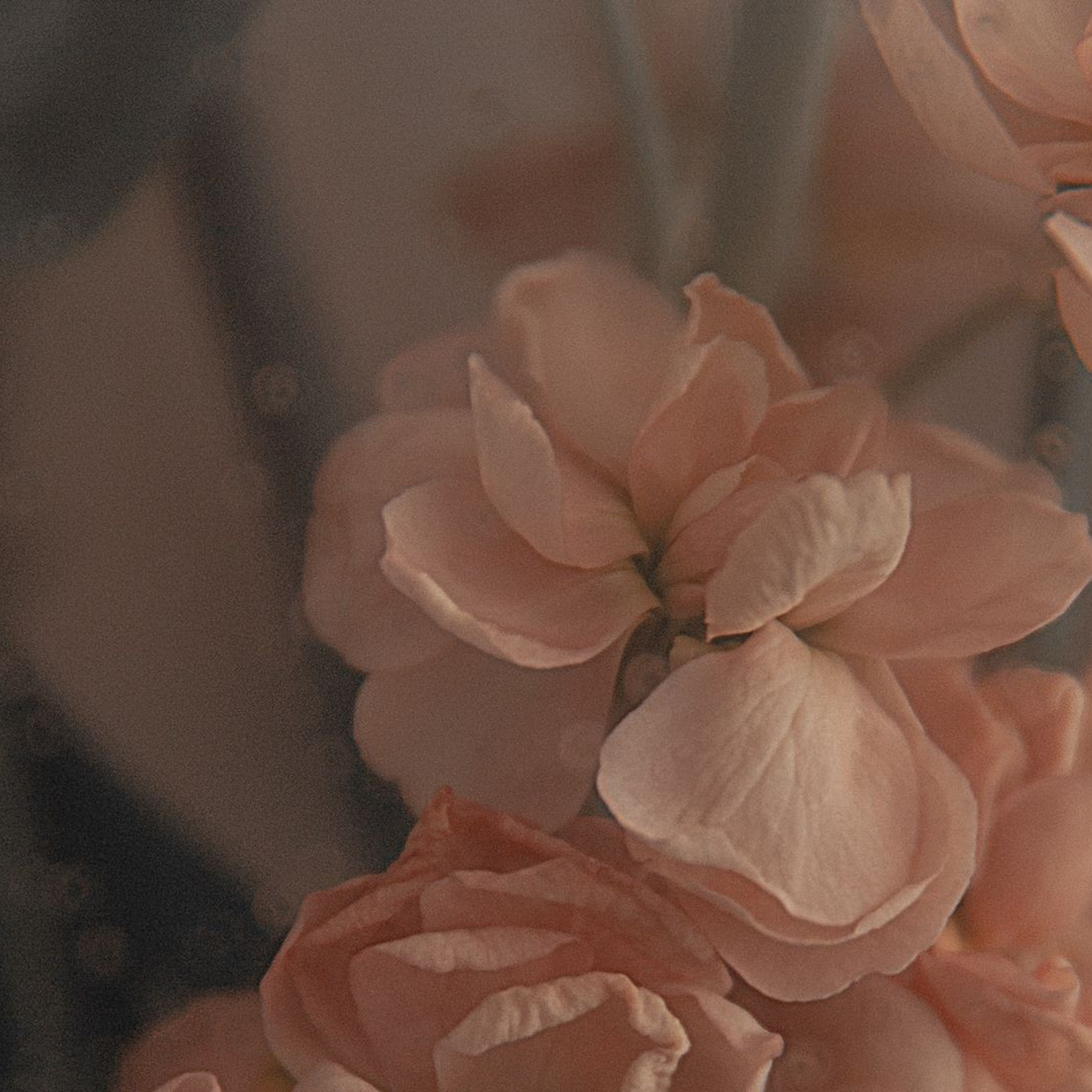 Отзывы. Свадебный фотограф Москва и Московская область