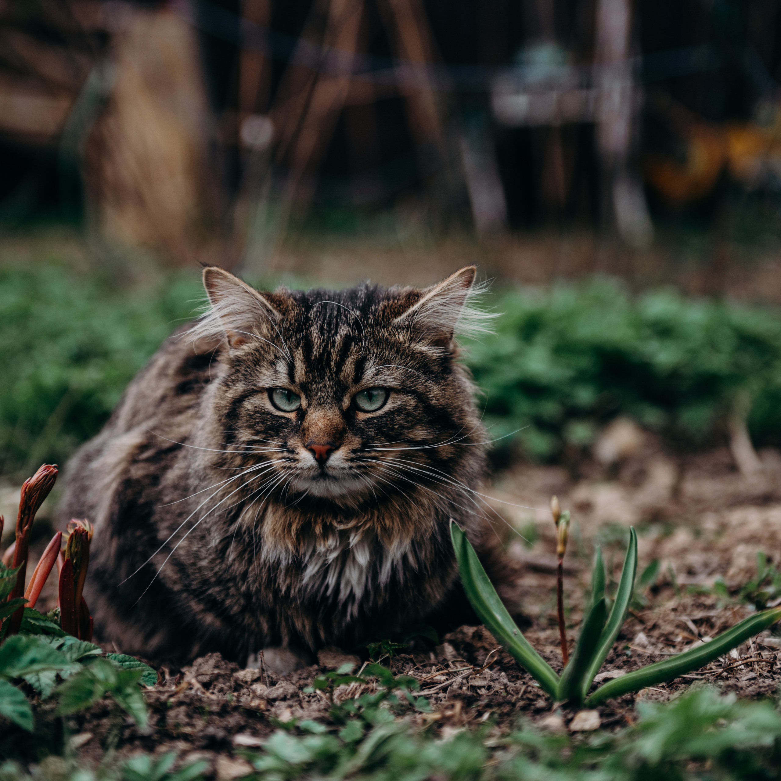 Отзывы. Свадебный фотограф Москва и Московская область