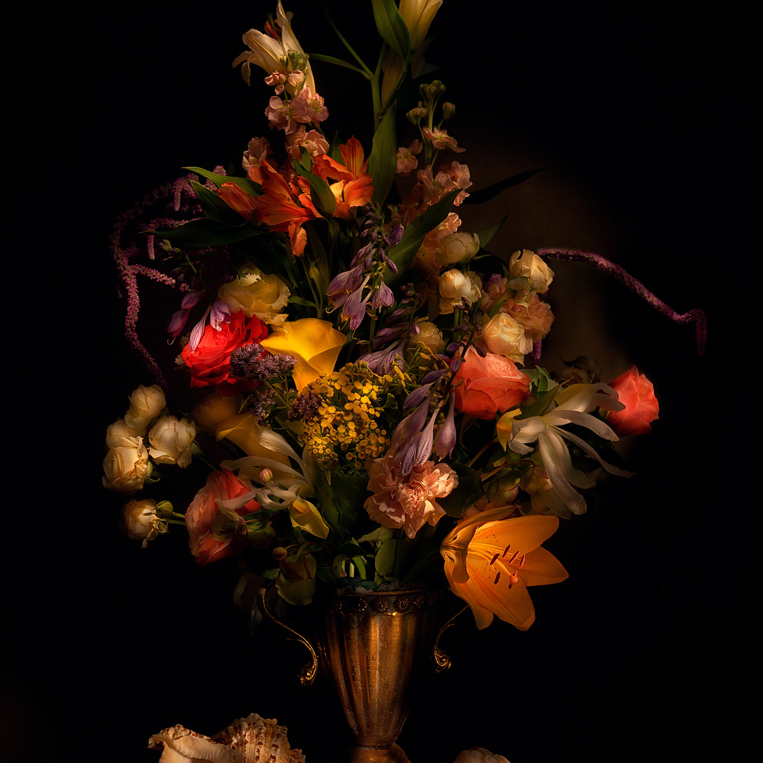 Русские голландцы