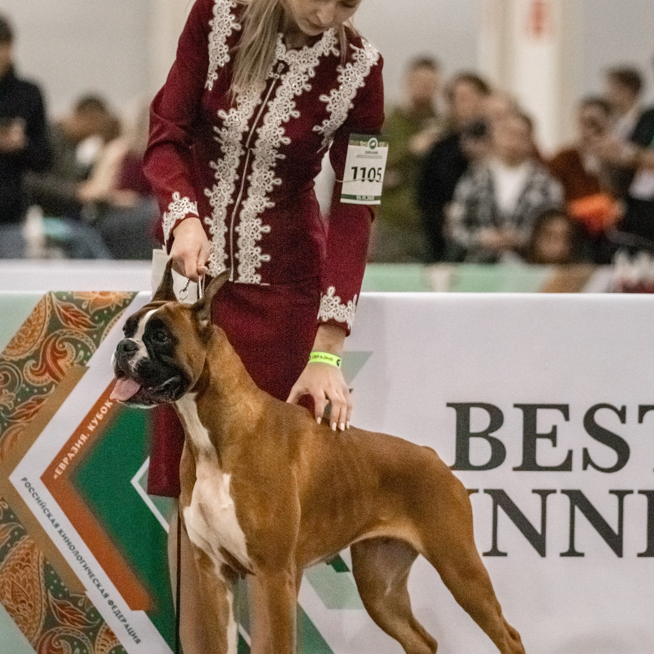 Отзывы. Фотограф — анималист в Москве и области Ольга Петракова