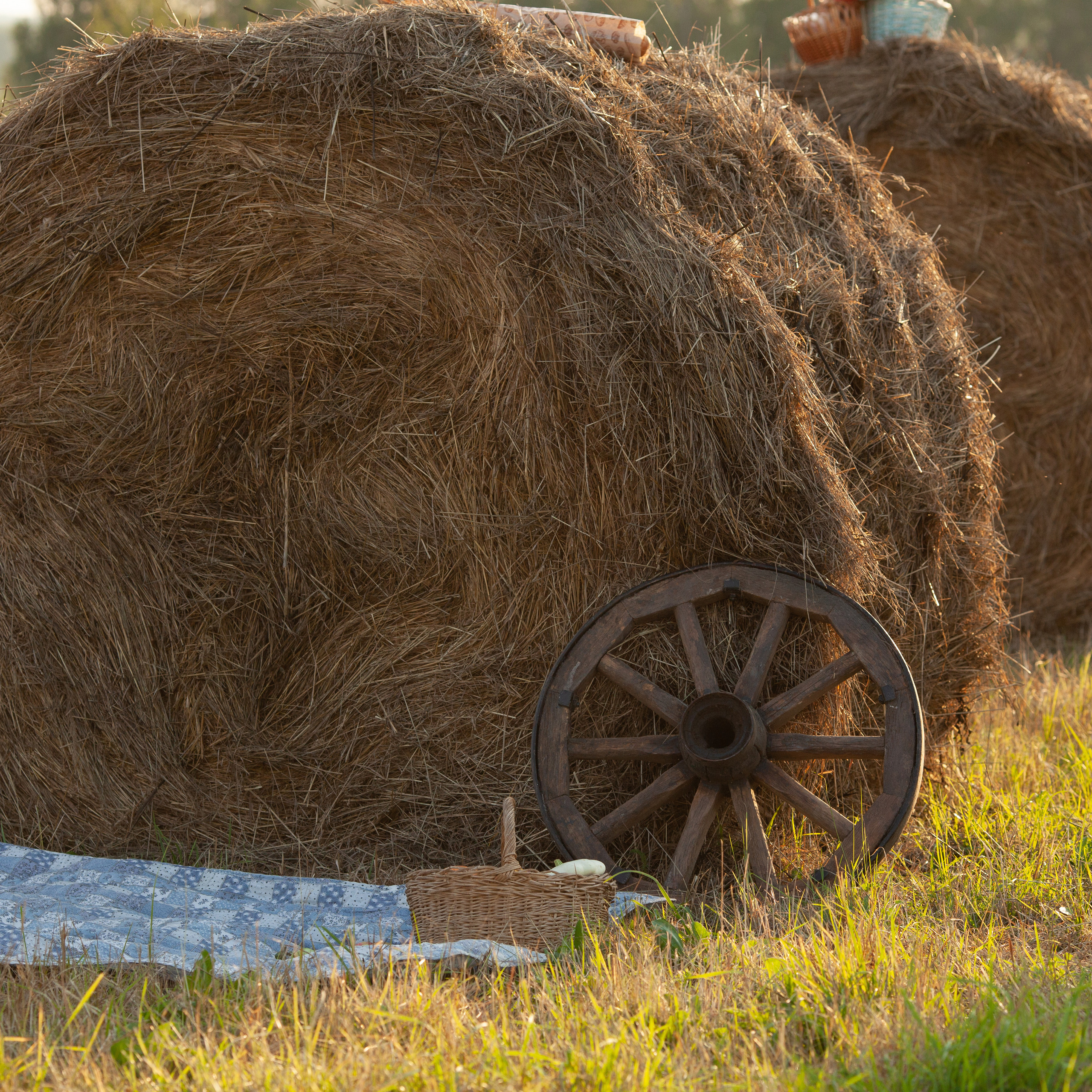 Отзывы о фотографе. Антонина Свешникова. Фотограф Антонина Свешникова. ВЫПУСКНЫЕ ФОТОКНИГИ для детских садов и школ. Москва, Владимир