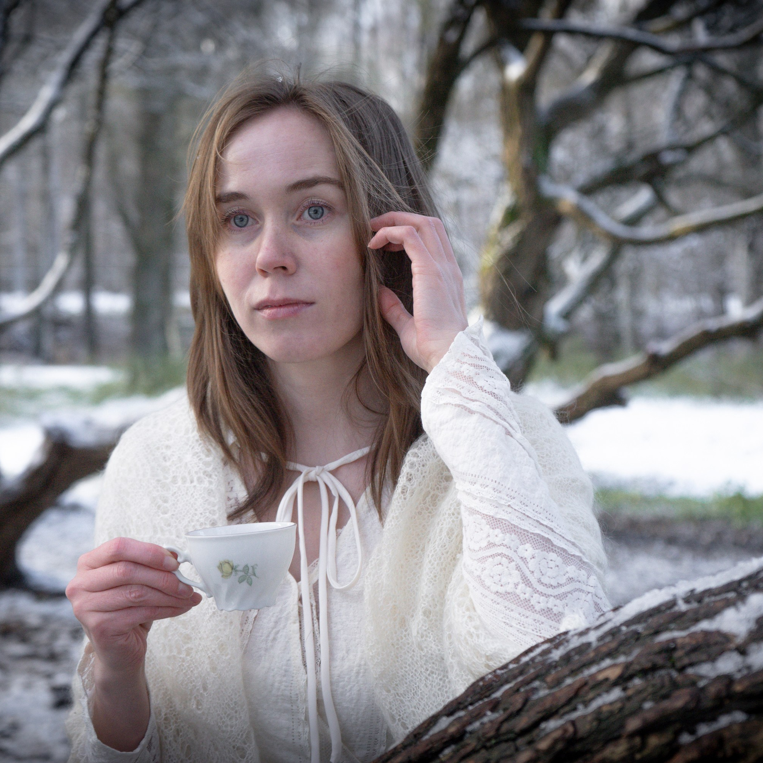 Зимний день