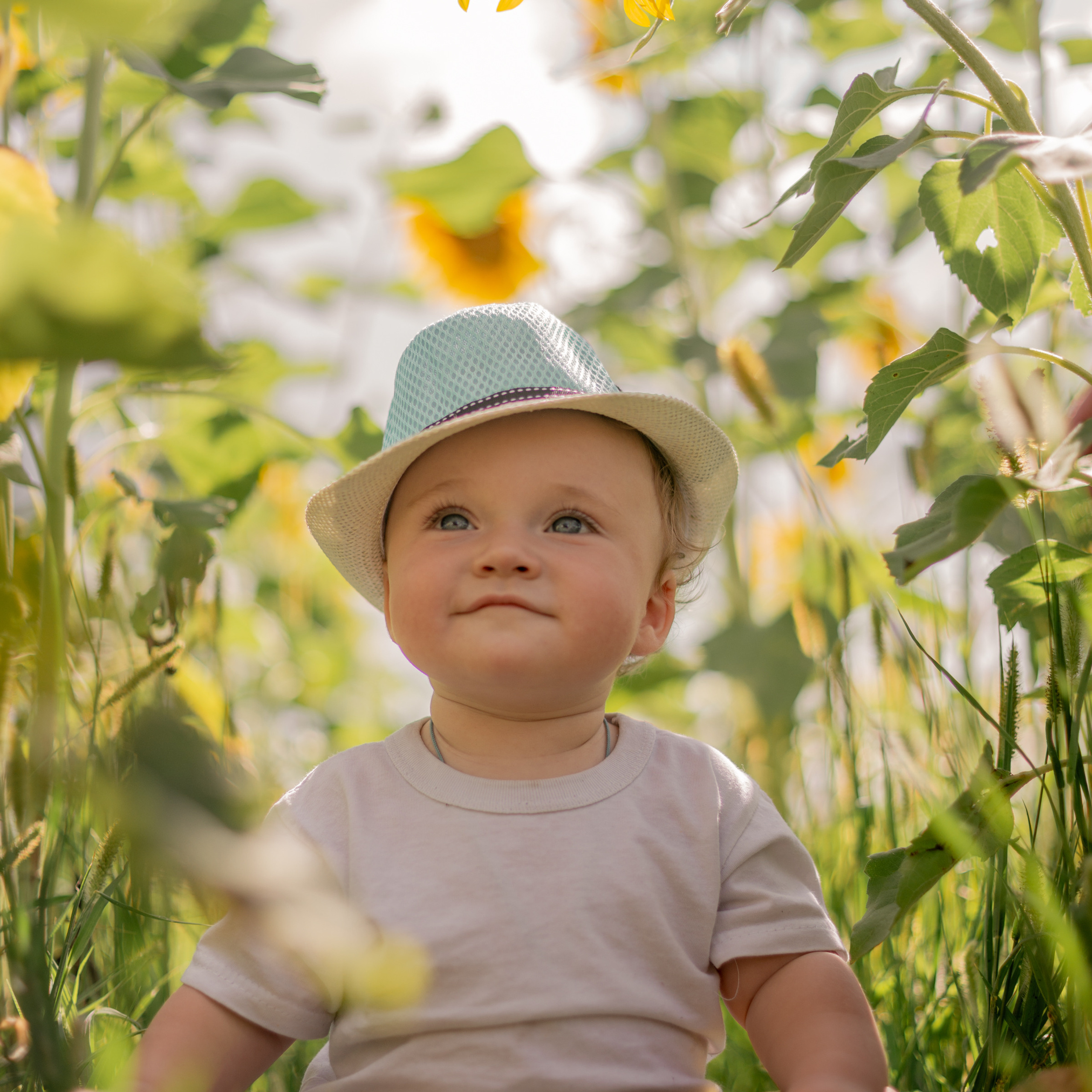 семейная сьемка в подсолнухах