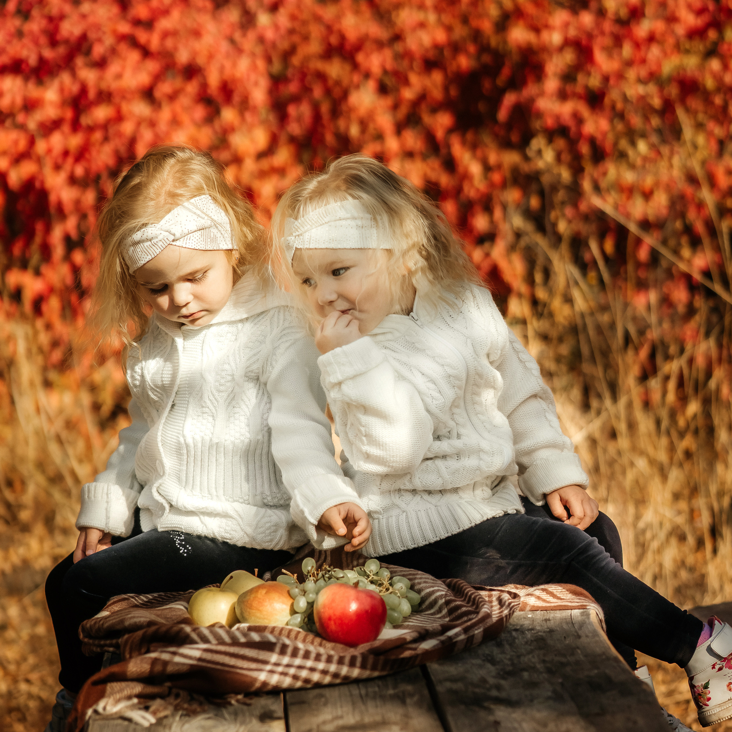 семья Ореховых осенняя прогулка