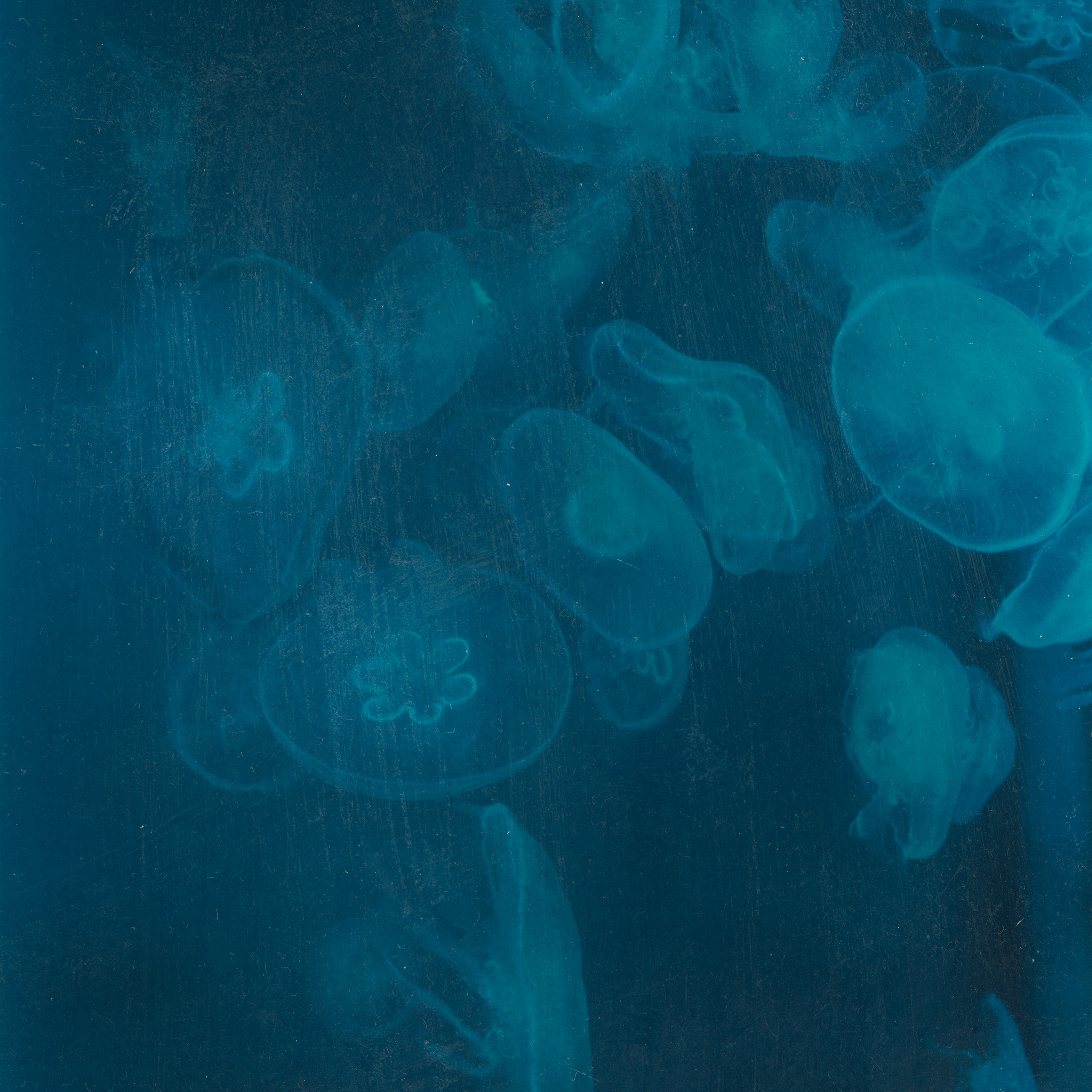 Album cover for sale