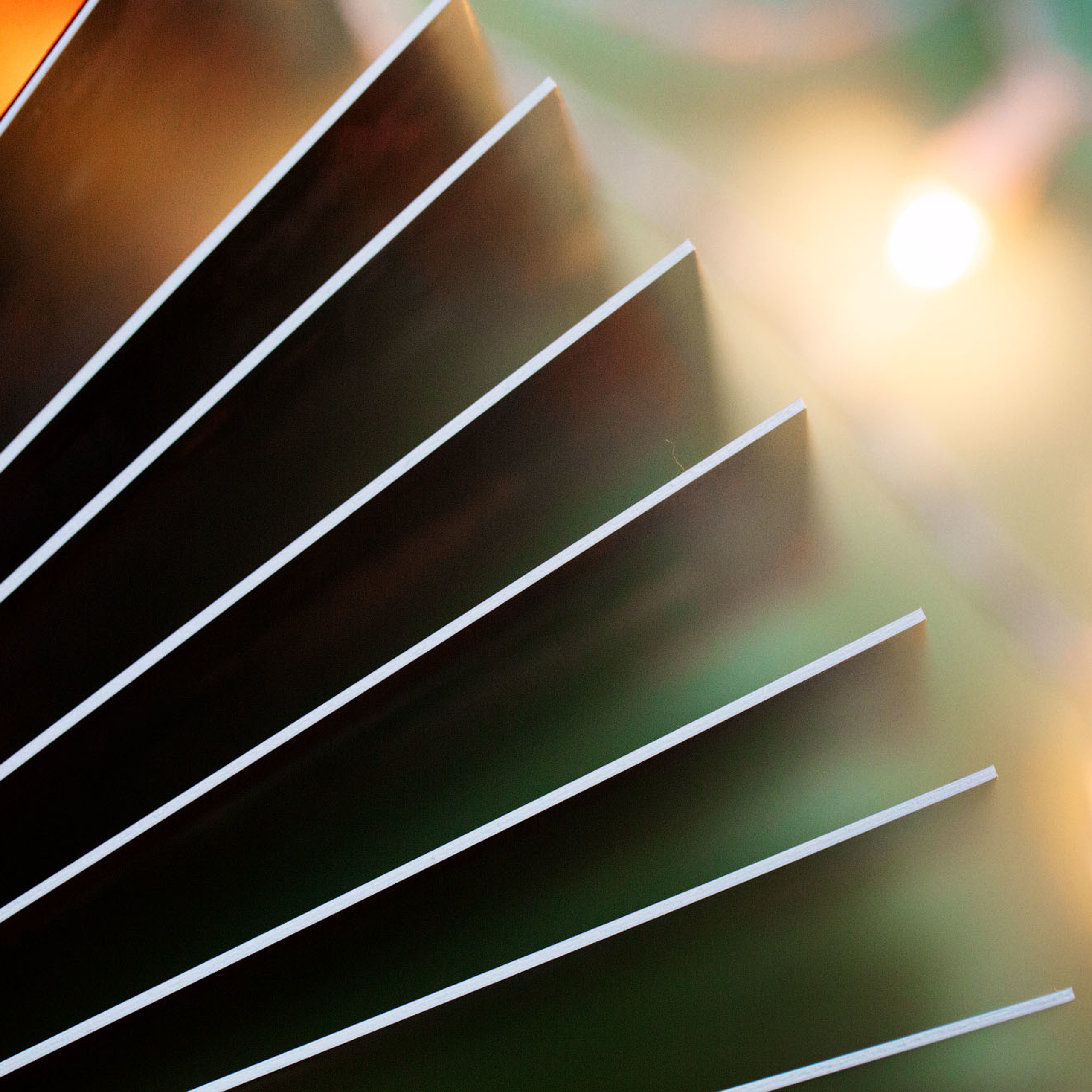 Фотокнига с фотообложкой. Фотограф в Москве Татьяна Байкова