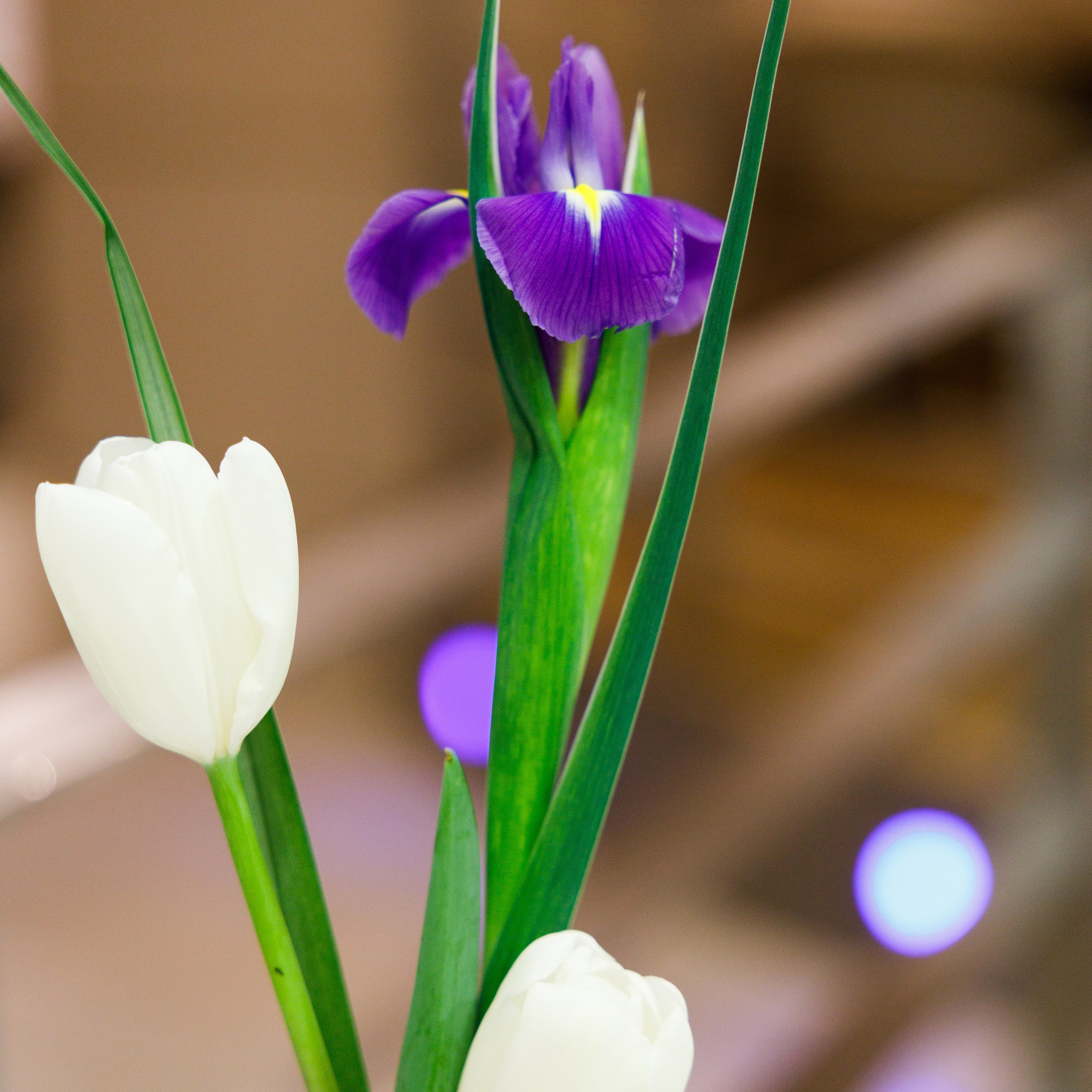 Репортаж мероприятий. Фотограф Кристина Коновалова