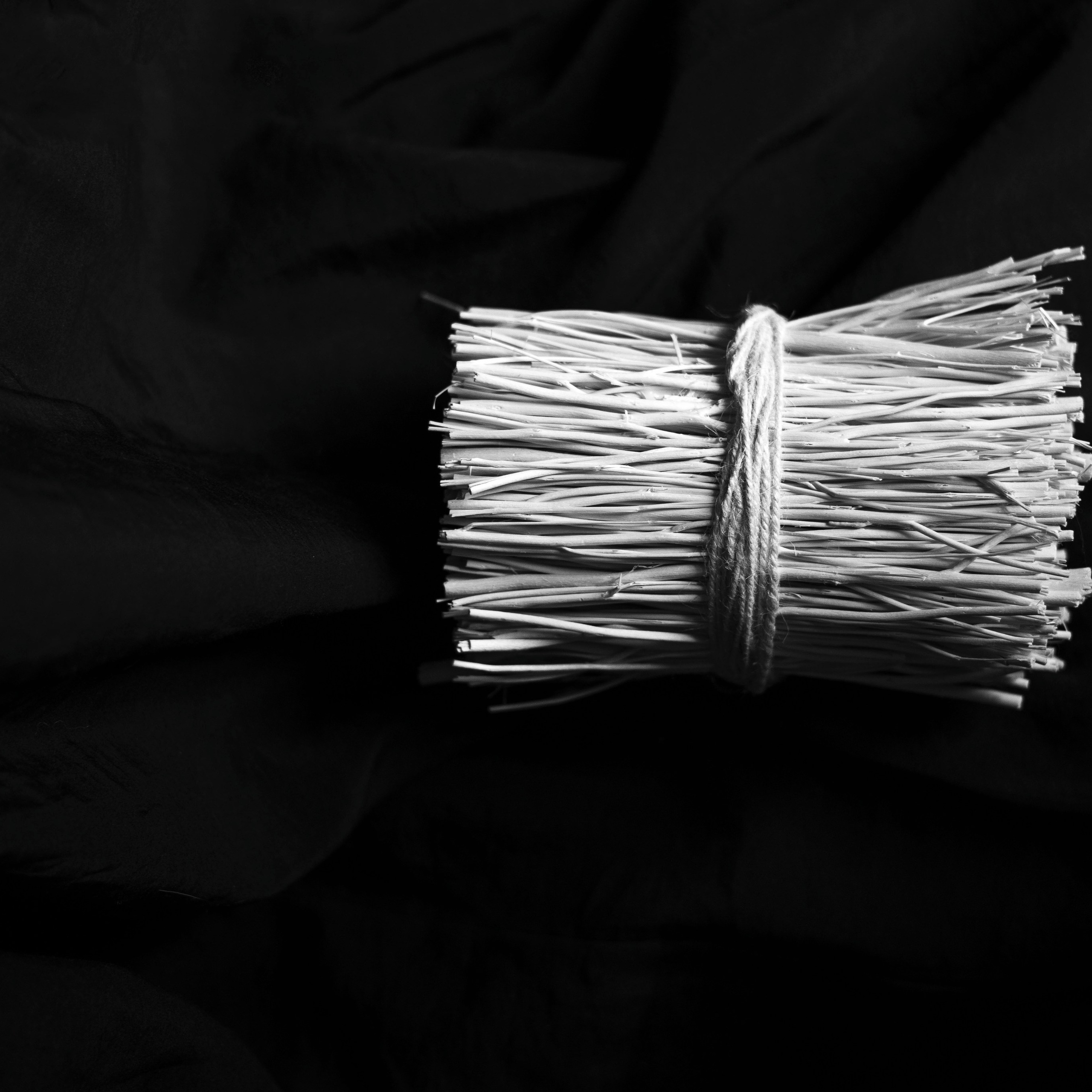 Разности. Портретный и семейный фотограф Санкт-Петербург