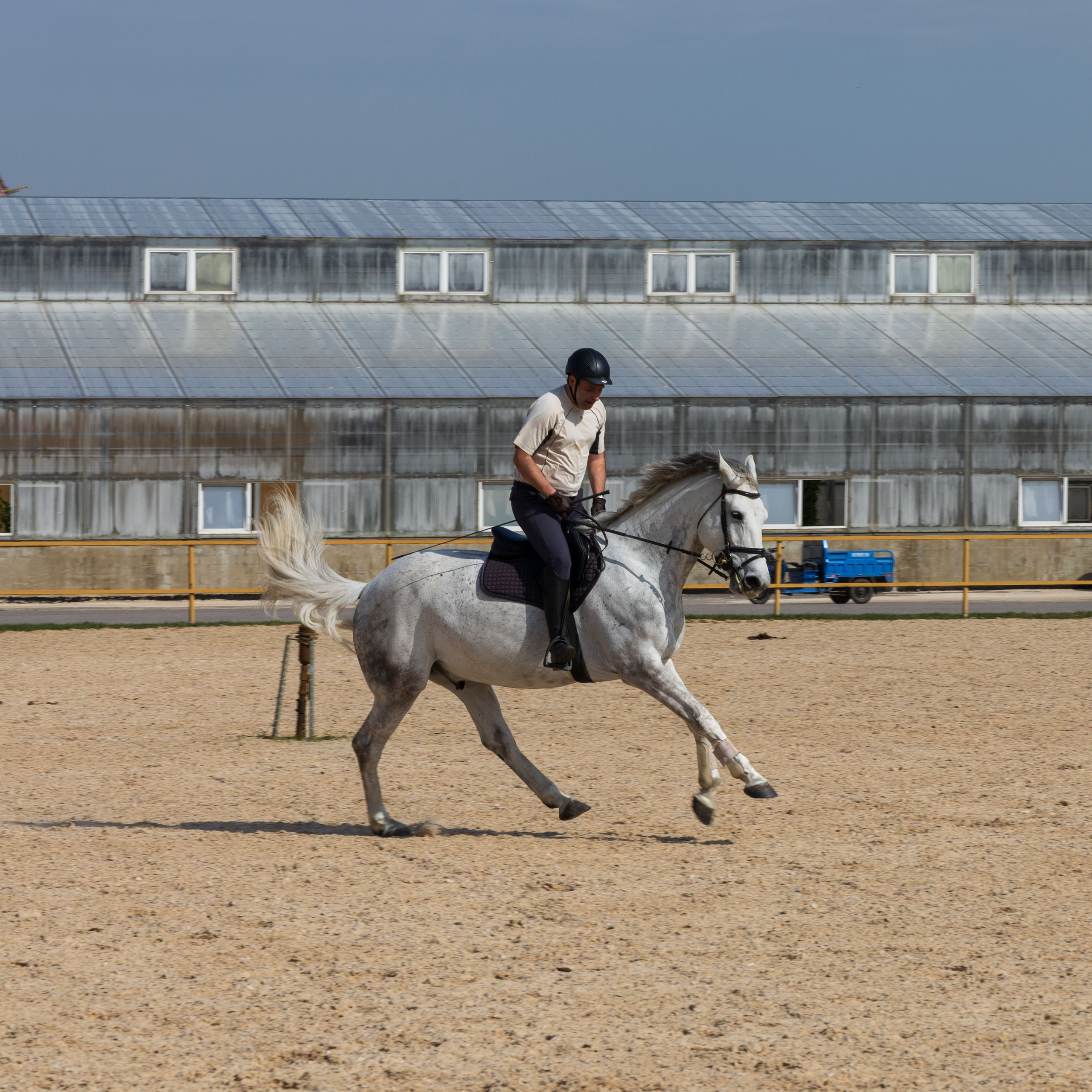 Репортаж.Конная тренировка. Портретный и семейный фотограф Санкт-Петербург
