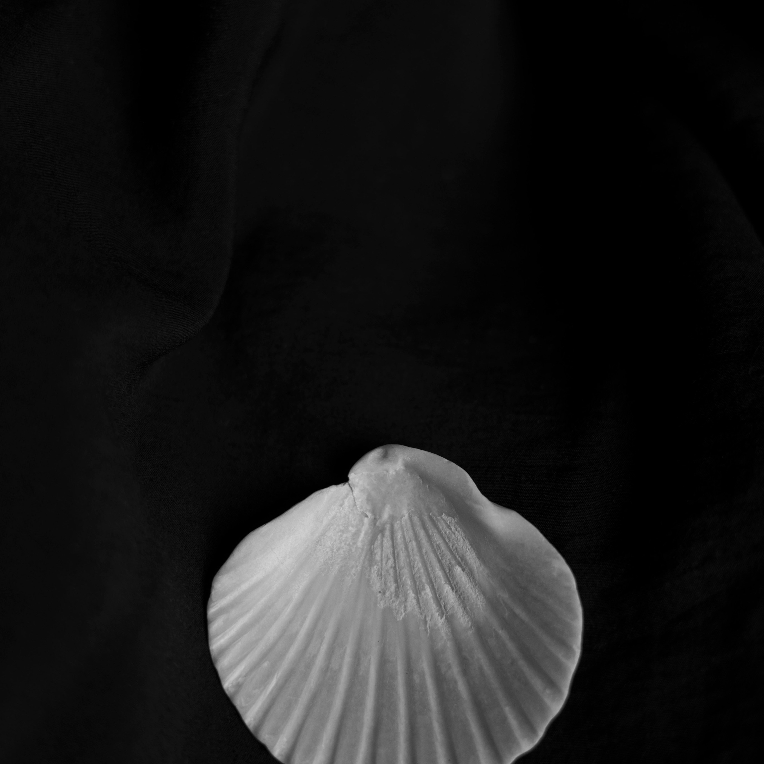 Разности. Портретный и семейный фотограф Санкт-Петербург