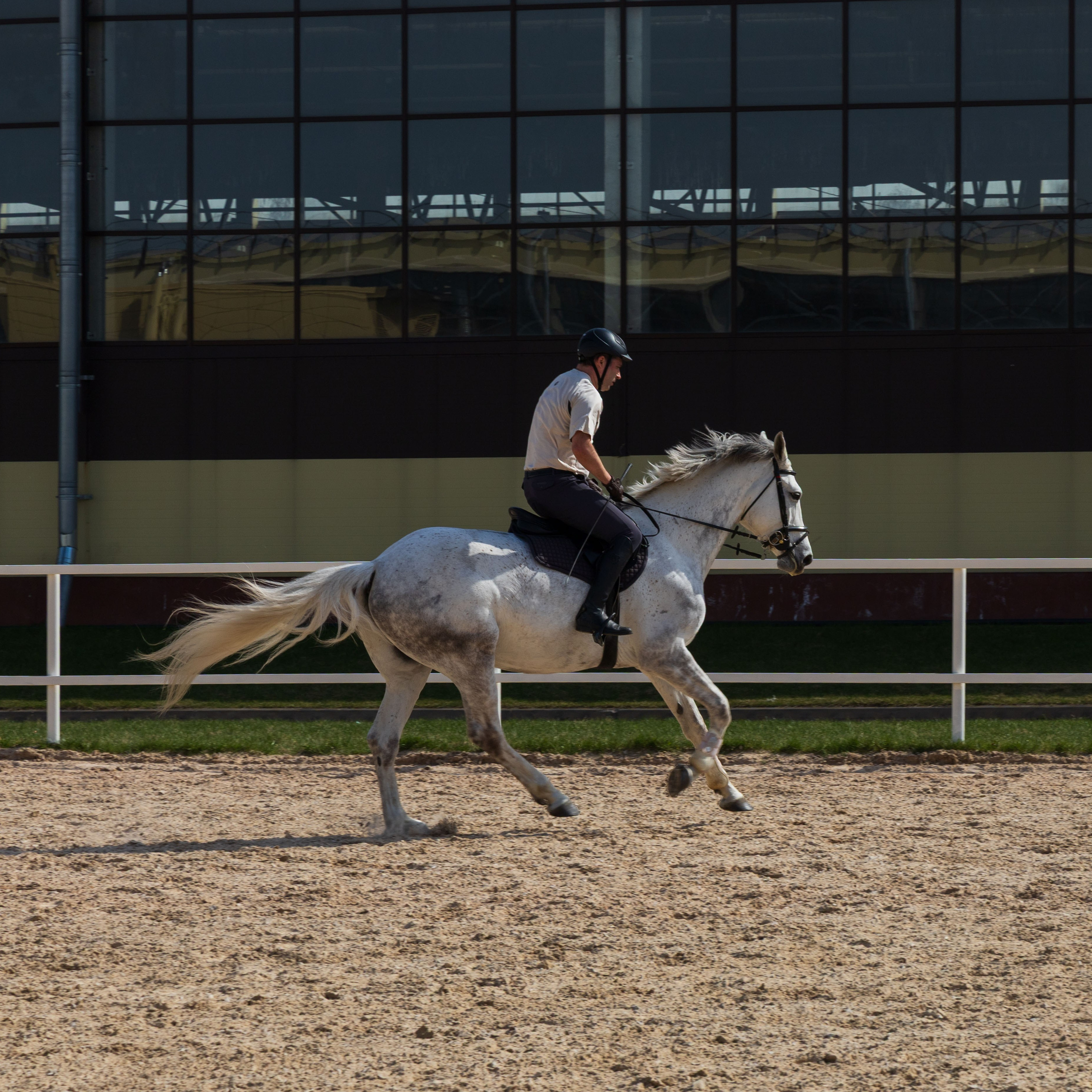 Репортаж.Конная тренировка. Портретный и семейный фотограф Санкт-Петербург