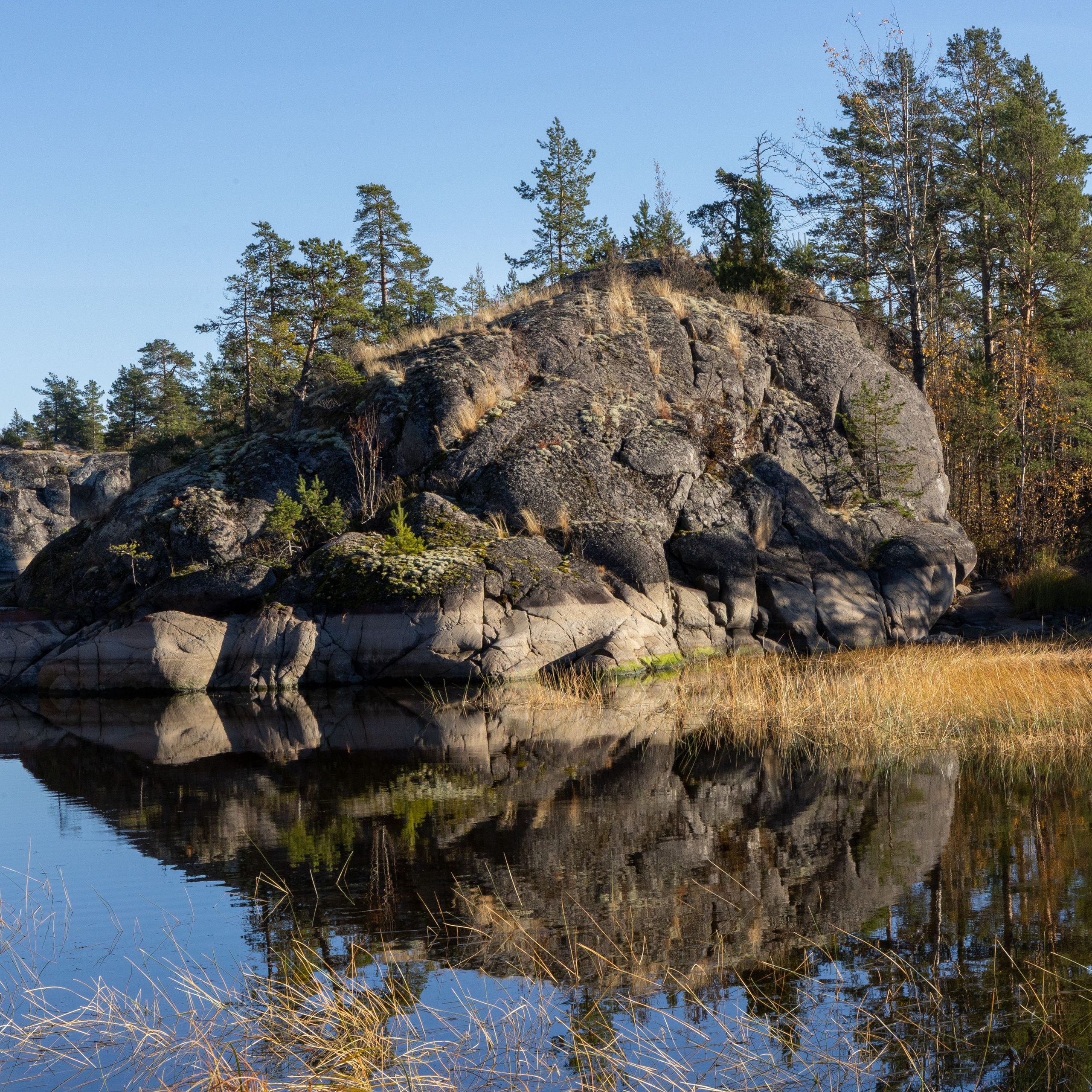 Природа Карелии октябрь 2025. Портретный и семейный фотограф Санкт-Петербург