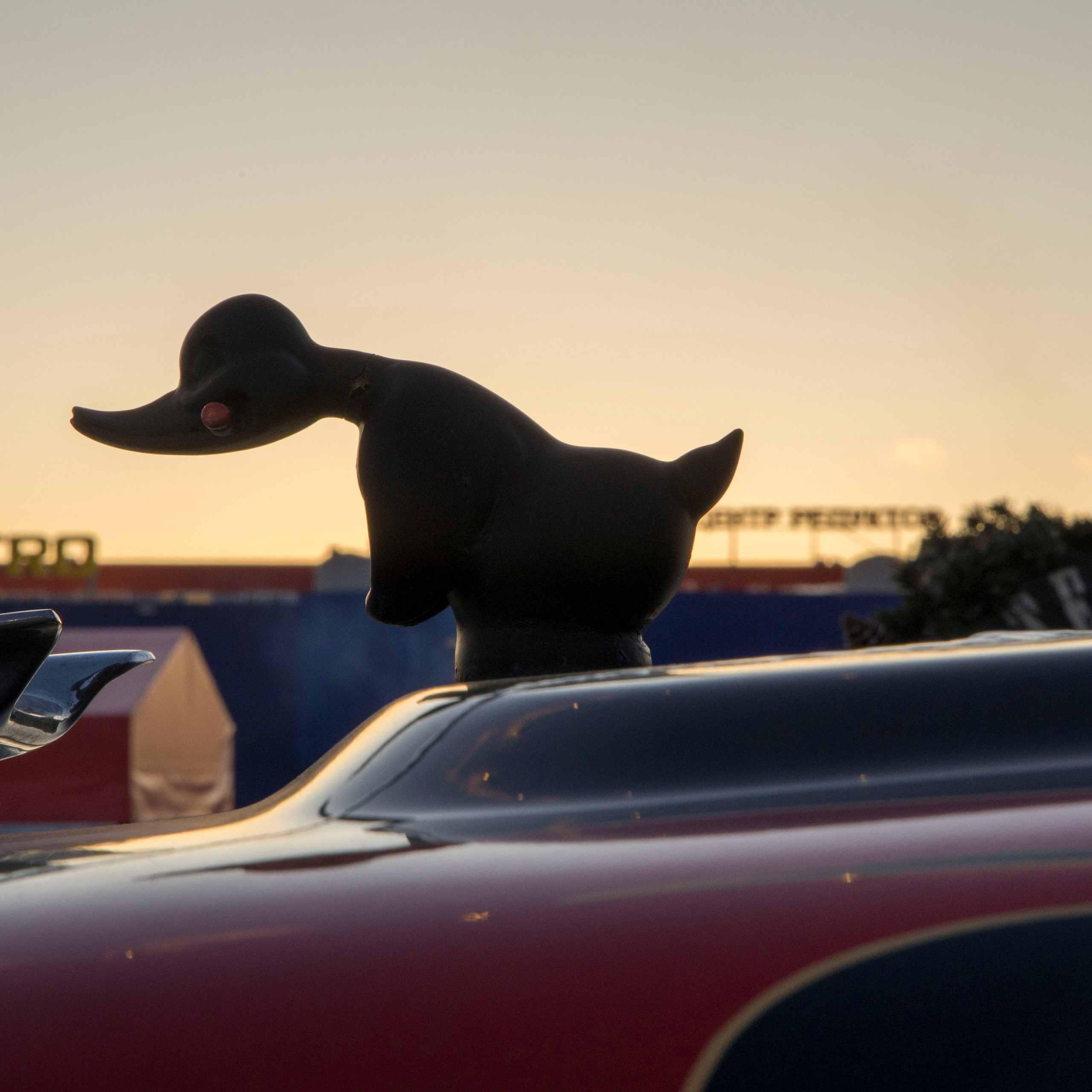 Разности. Портретный и семейный фотограф Санкт-Петербург