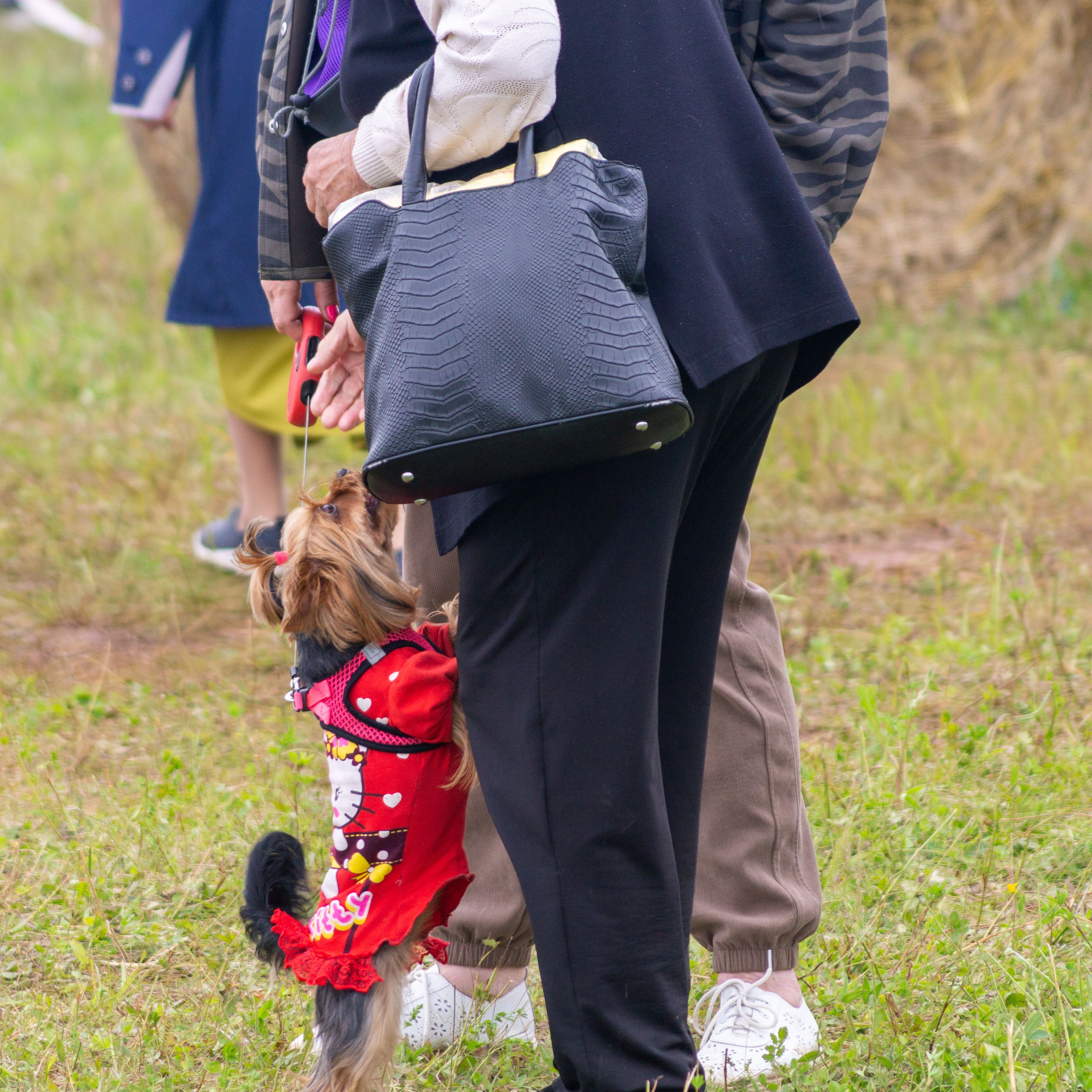 Всероссийский собантуй 2025. Портретный и семейный фотограф Санкт-Петербург