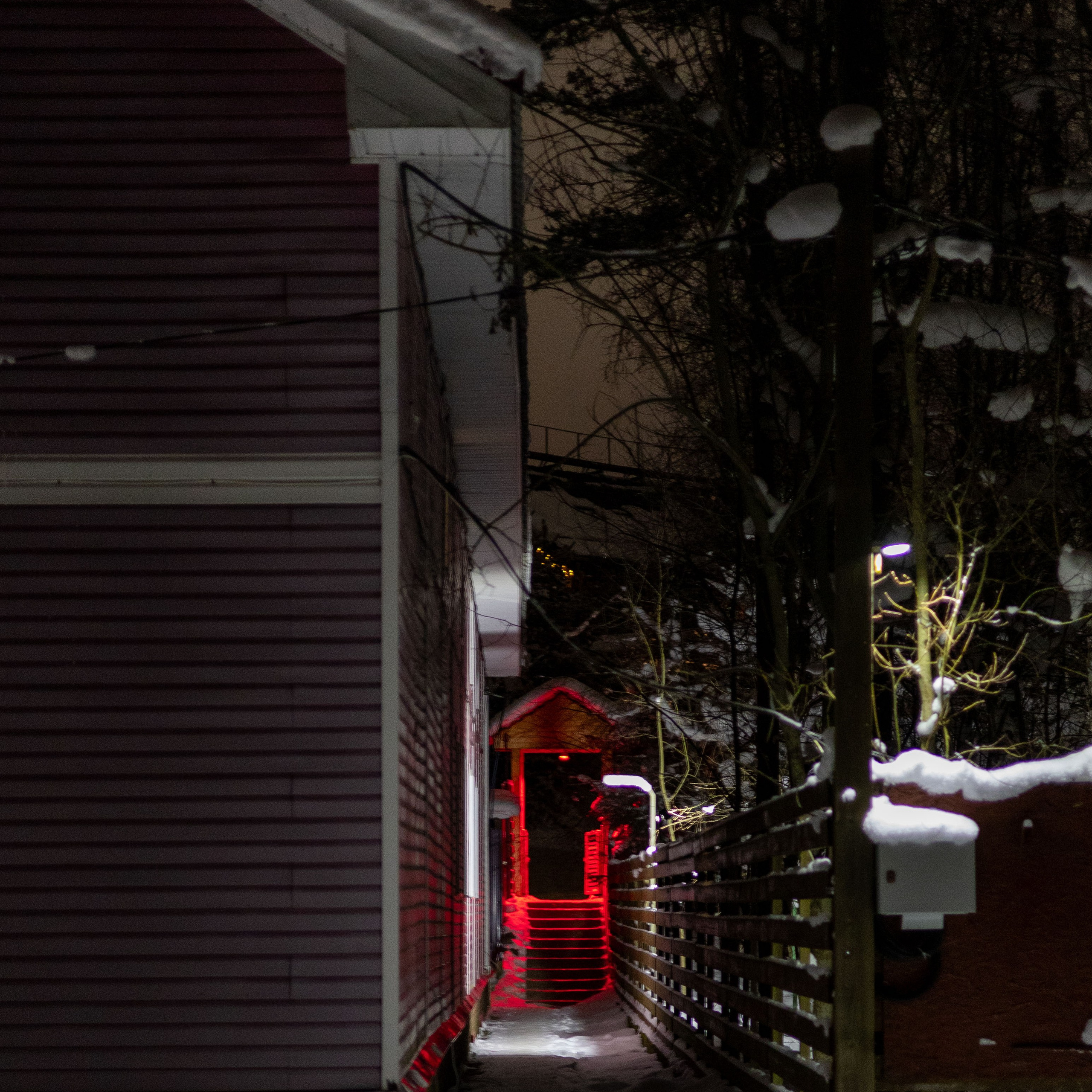 Ретрит с Йоглаборатория февраль 2026. Портретный и семейный фотограф Санкт-Петербург