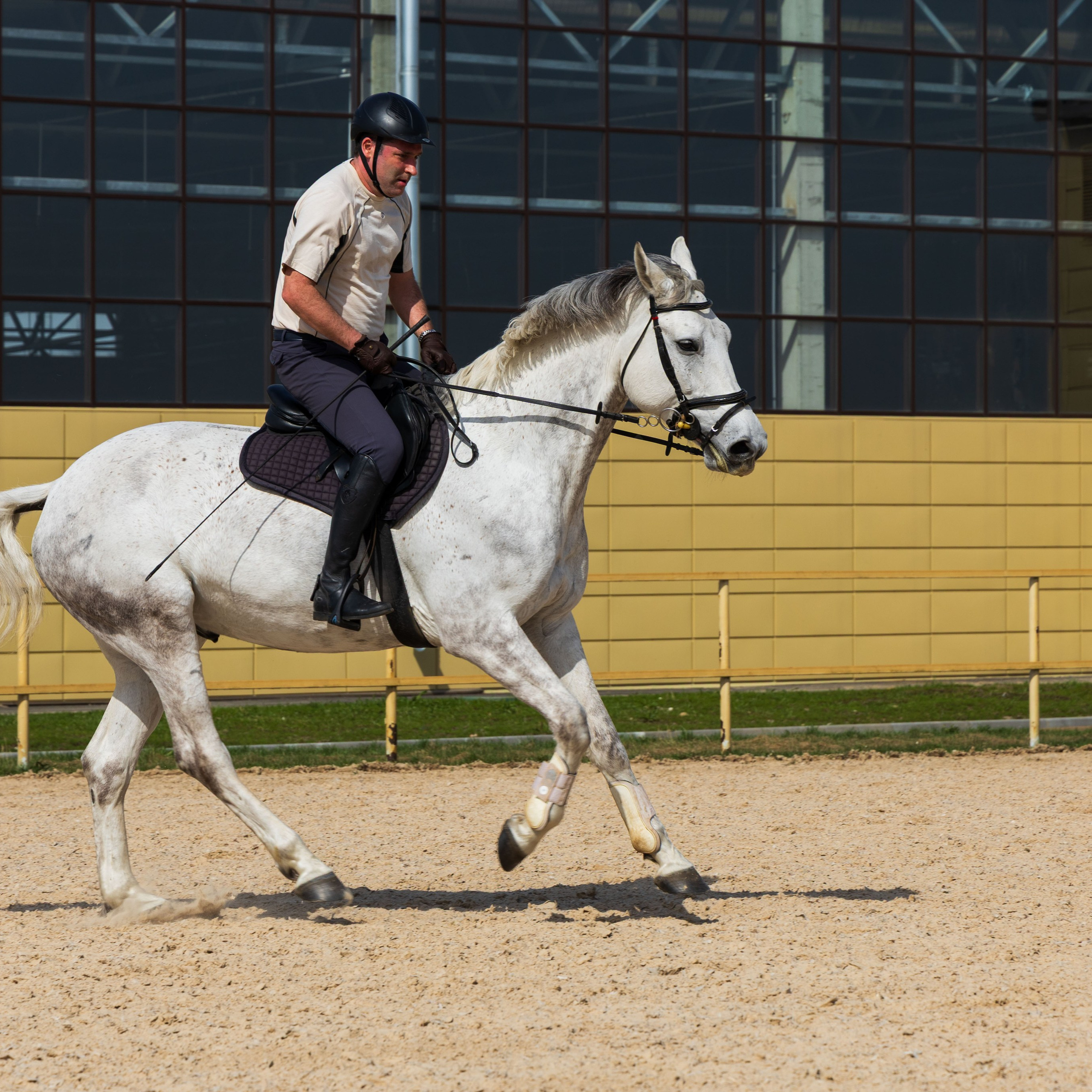 Репортаж.Конная тренировка. Портретный и семейный фотограф Санкт-Петербург