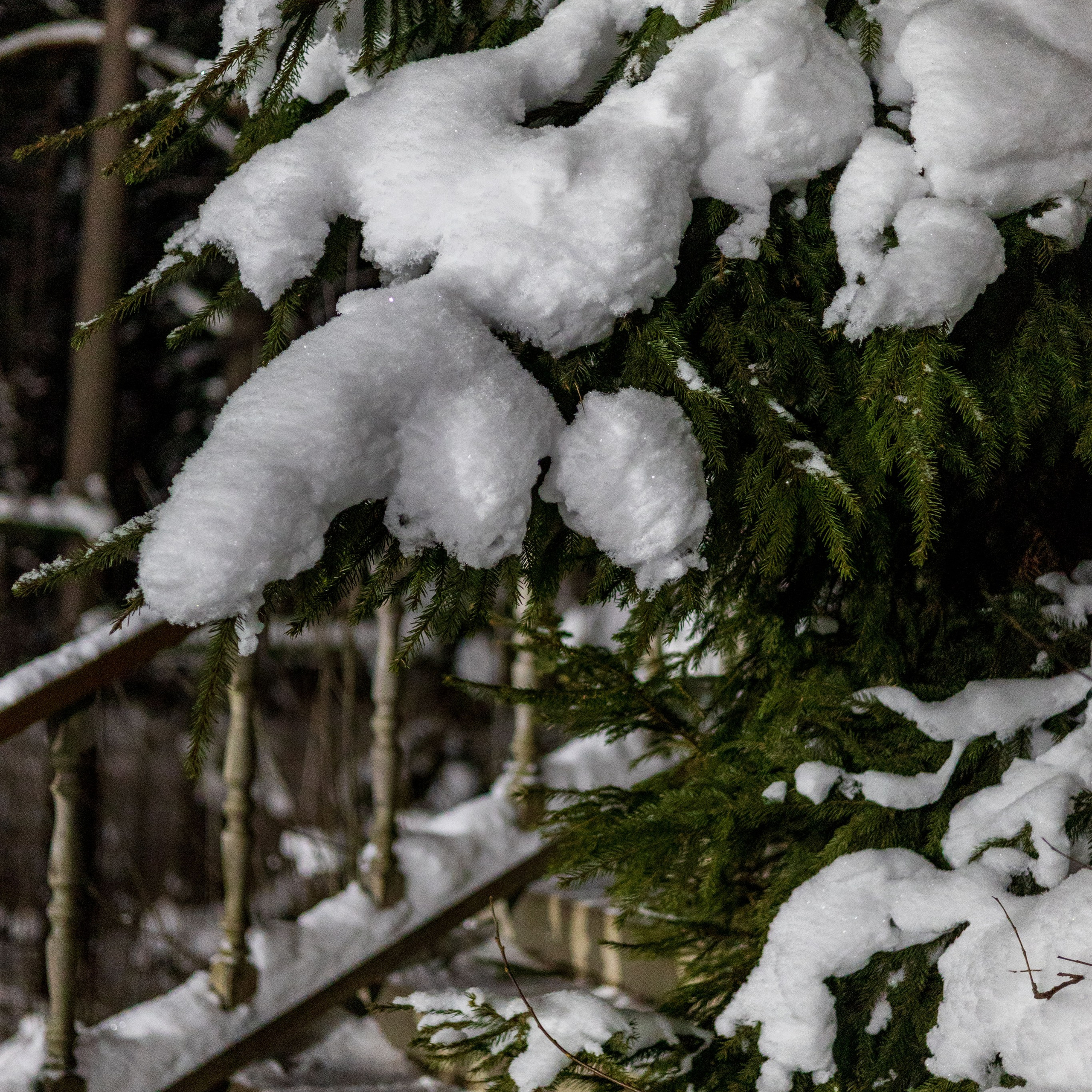 Ретрит с Йоглаборатория февраль 2026. Портретный и семейный фотограф Санкт-Петербург