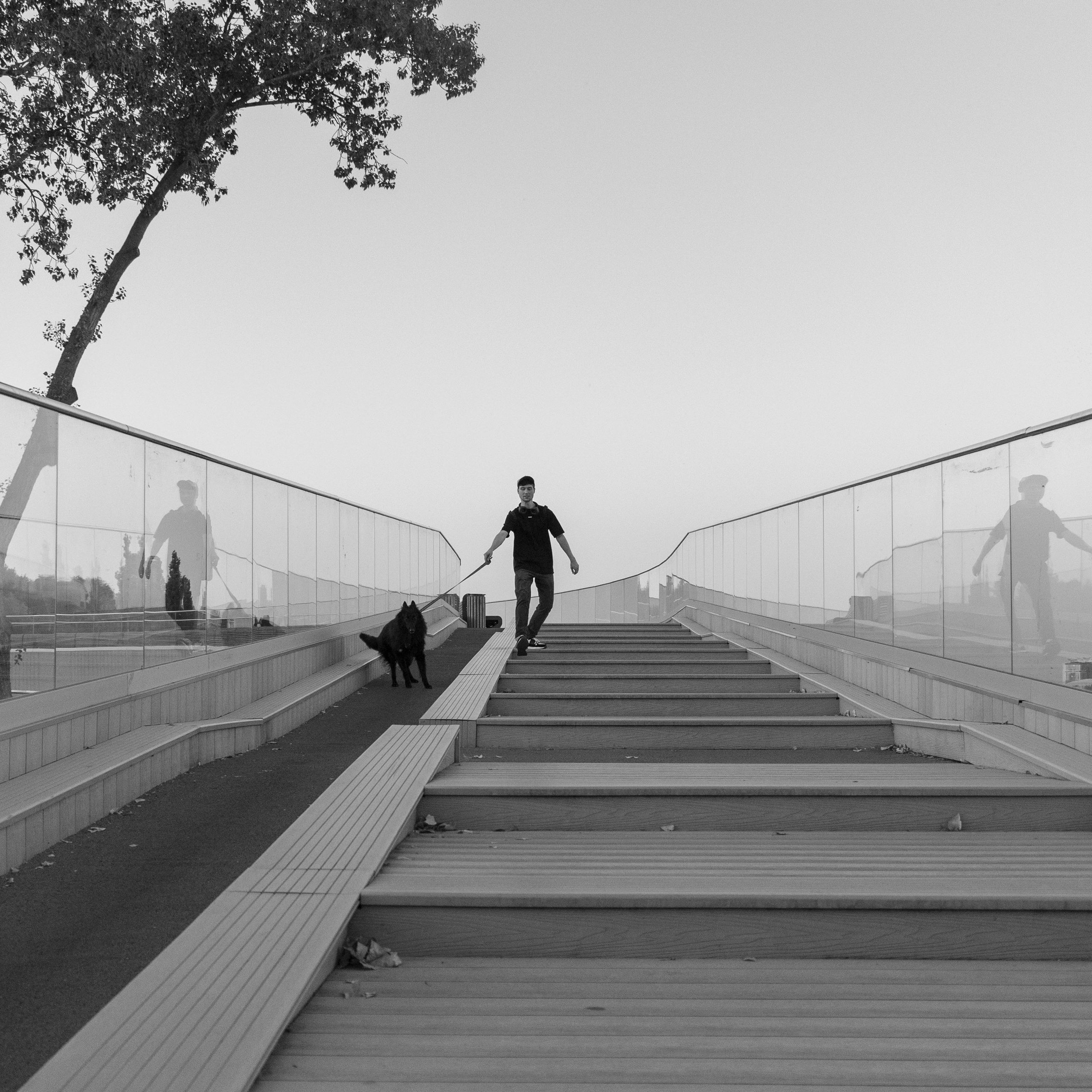 Саша и Нотр. Портретный и семейный фотограф Санкт-Петербург