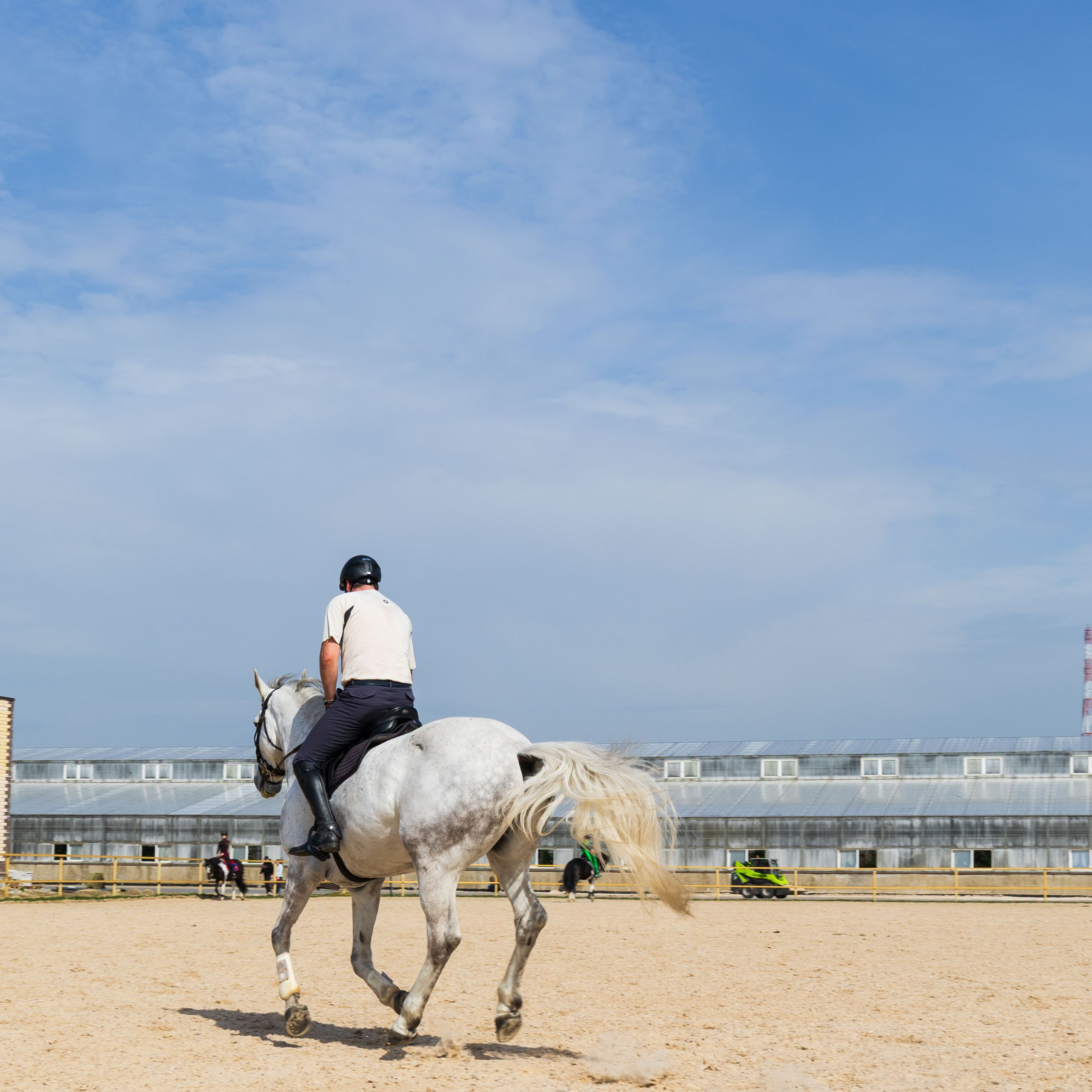 Репортаж.Конная тренировка. Портретный и семейный фотограф Санкт-Петербург