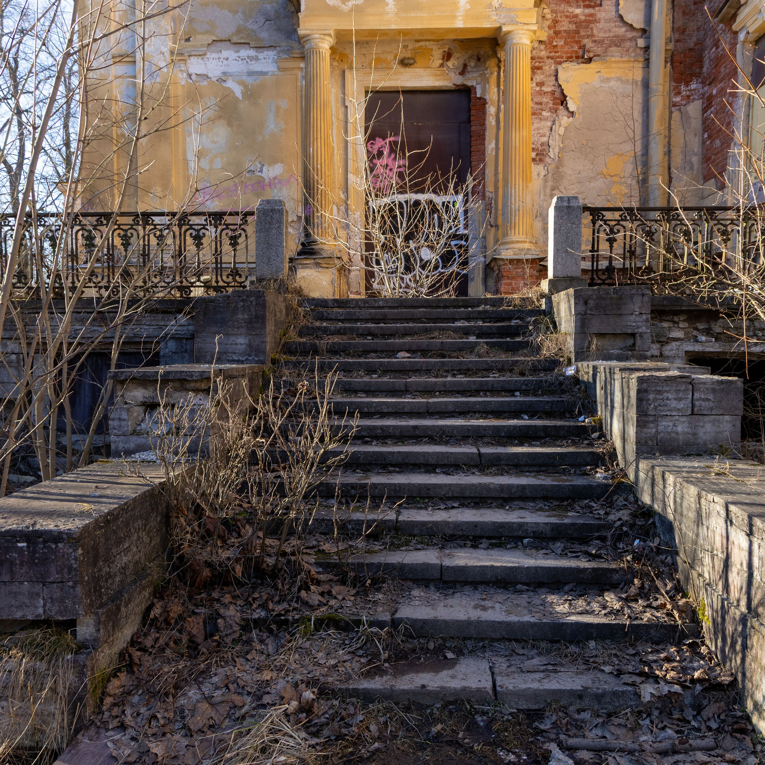 Дворец князя Михаила. Портретный и семейный фотограф Санкт-Петербург