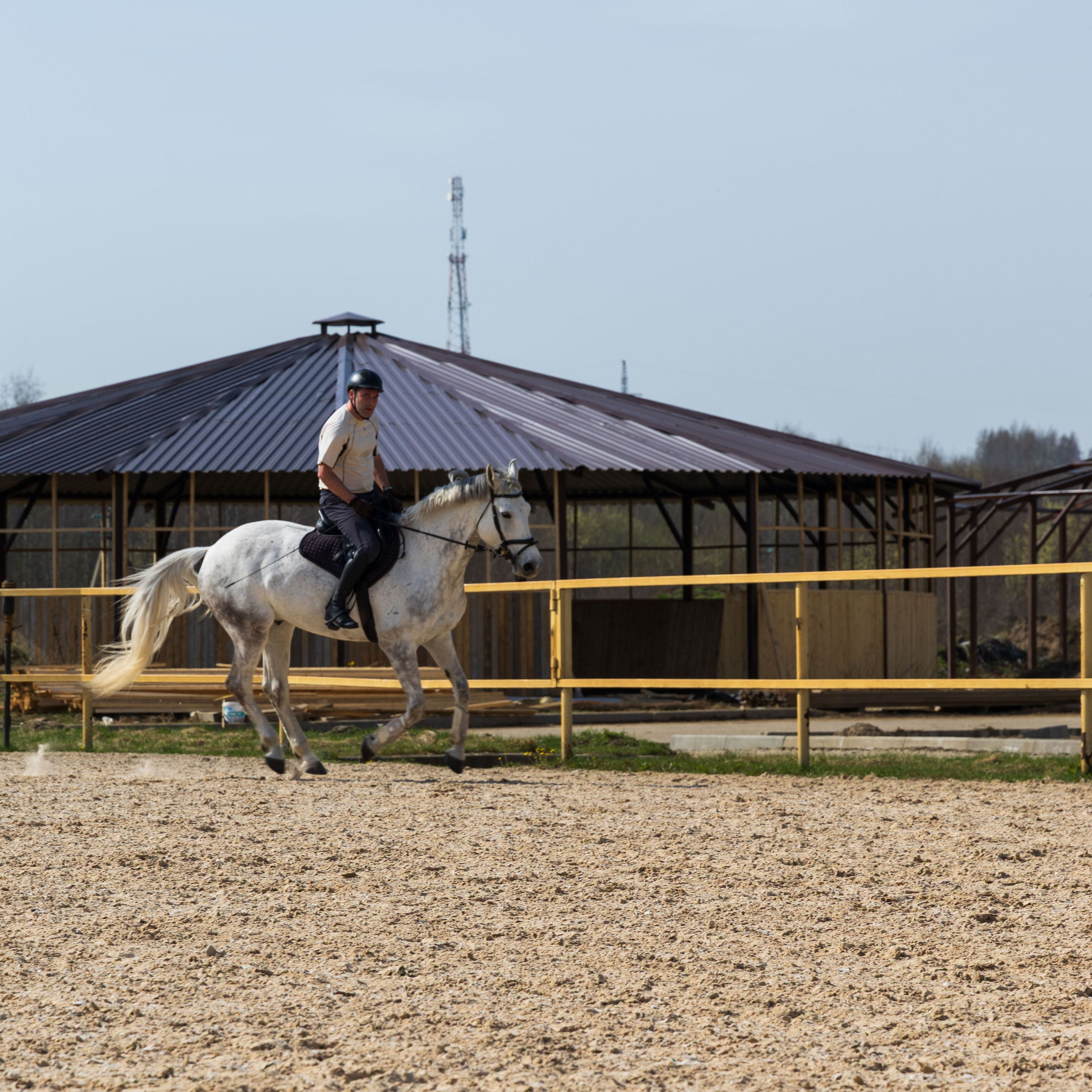 Репортаж.Конная тренировка. Портретный и семейный фотограф Санкт-Петербург