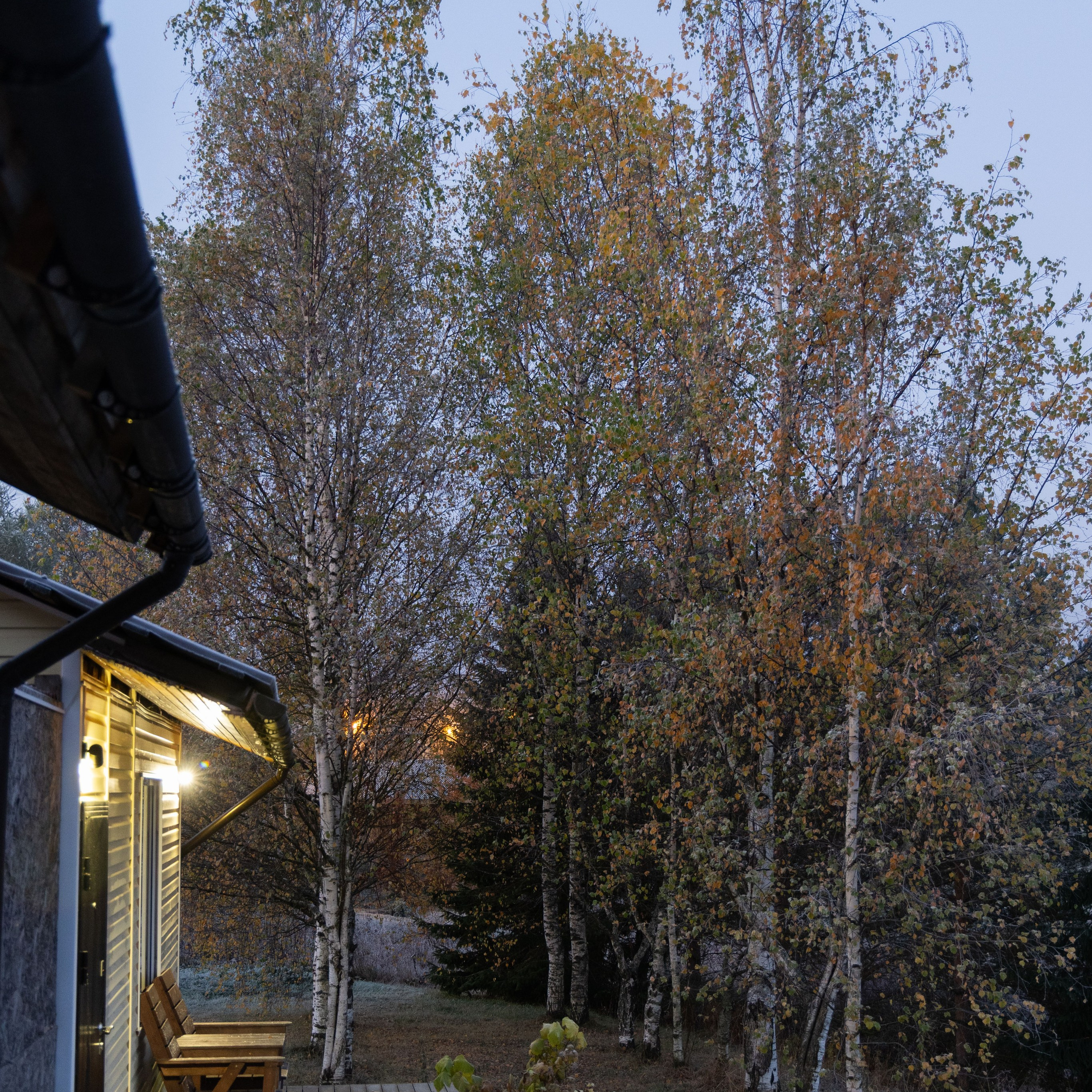 Природа Карелии октябрь 2025. Портретный и семейный фотограф Санкт-Петербург