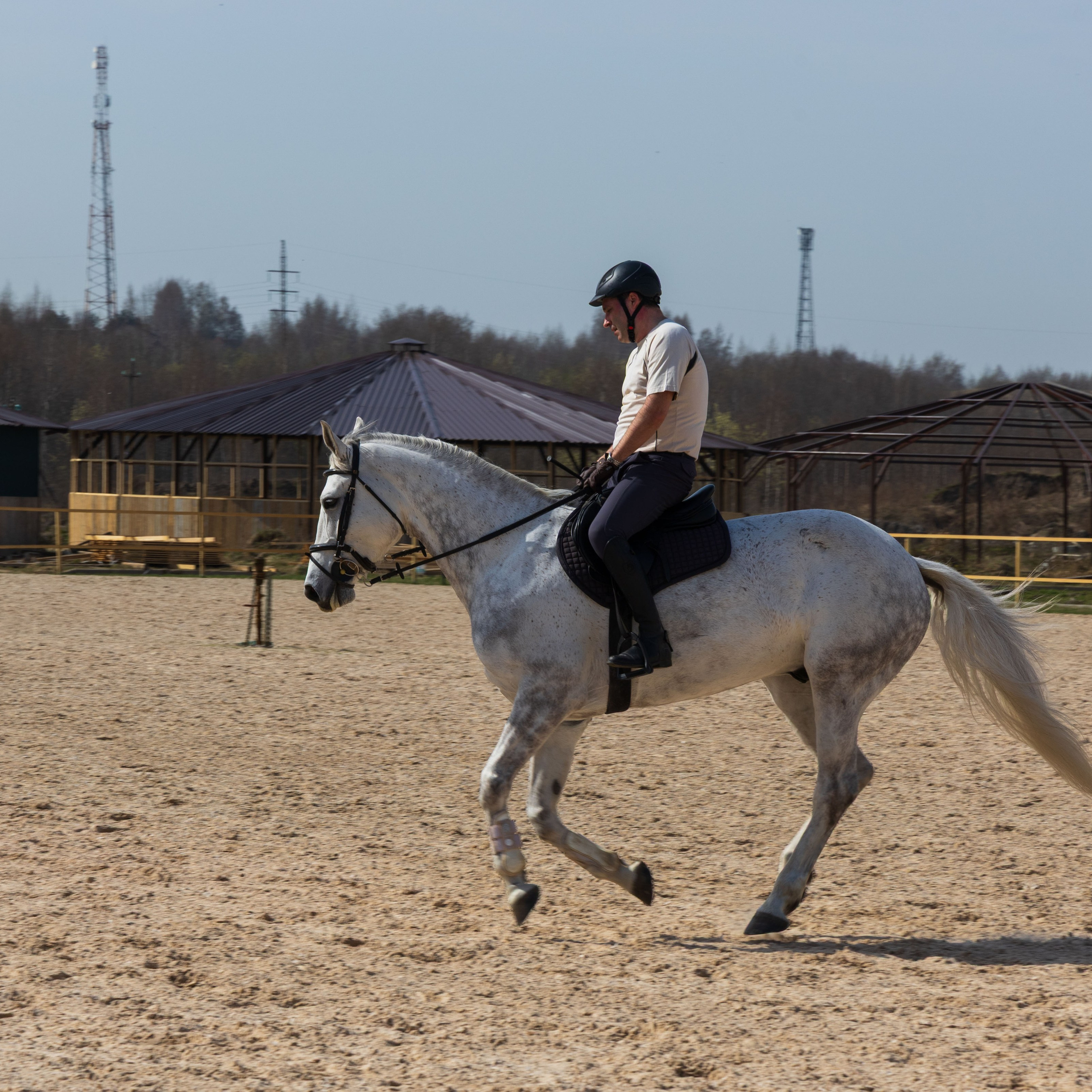 Репортаж.Конная тренировка. Портретный и семейный фотограф Санкт-Петербург