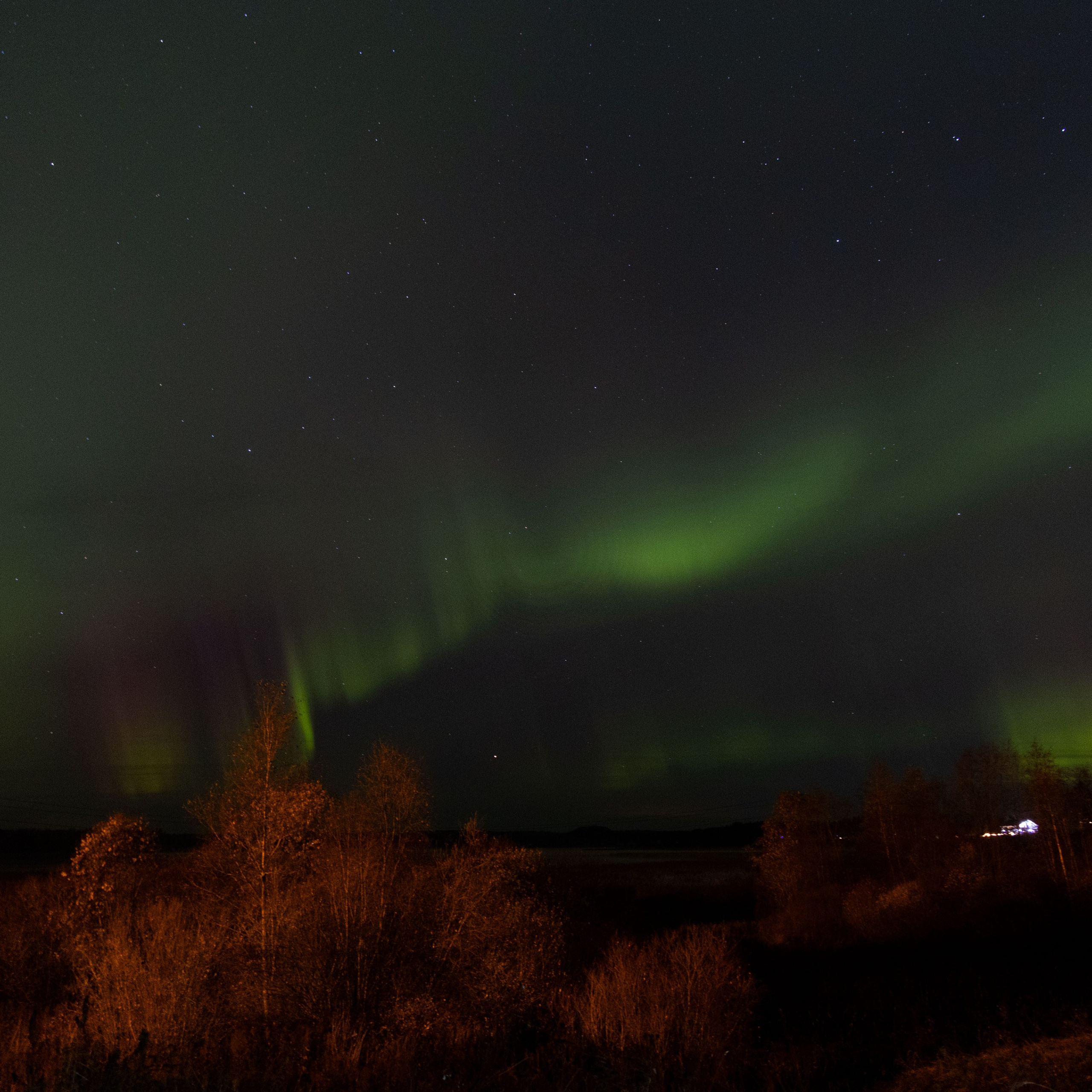 Природа Карелии октябрь 2025. Портретный и семейный фотограф Санкт-Петербург