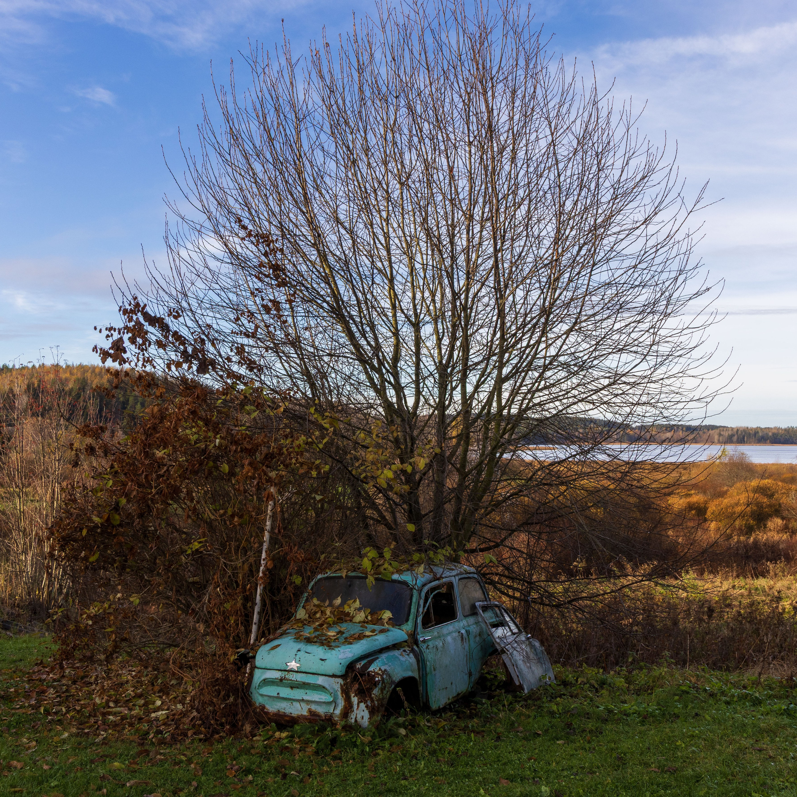 Природа Карелии октябрь 2025. Портретный и семейный фотограф Санкт-Петербург