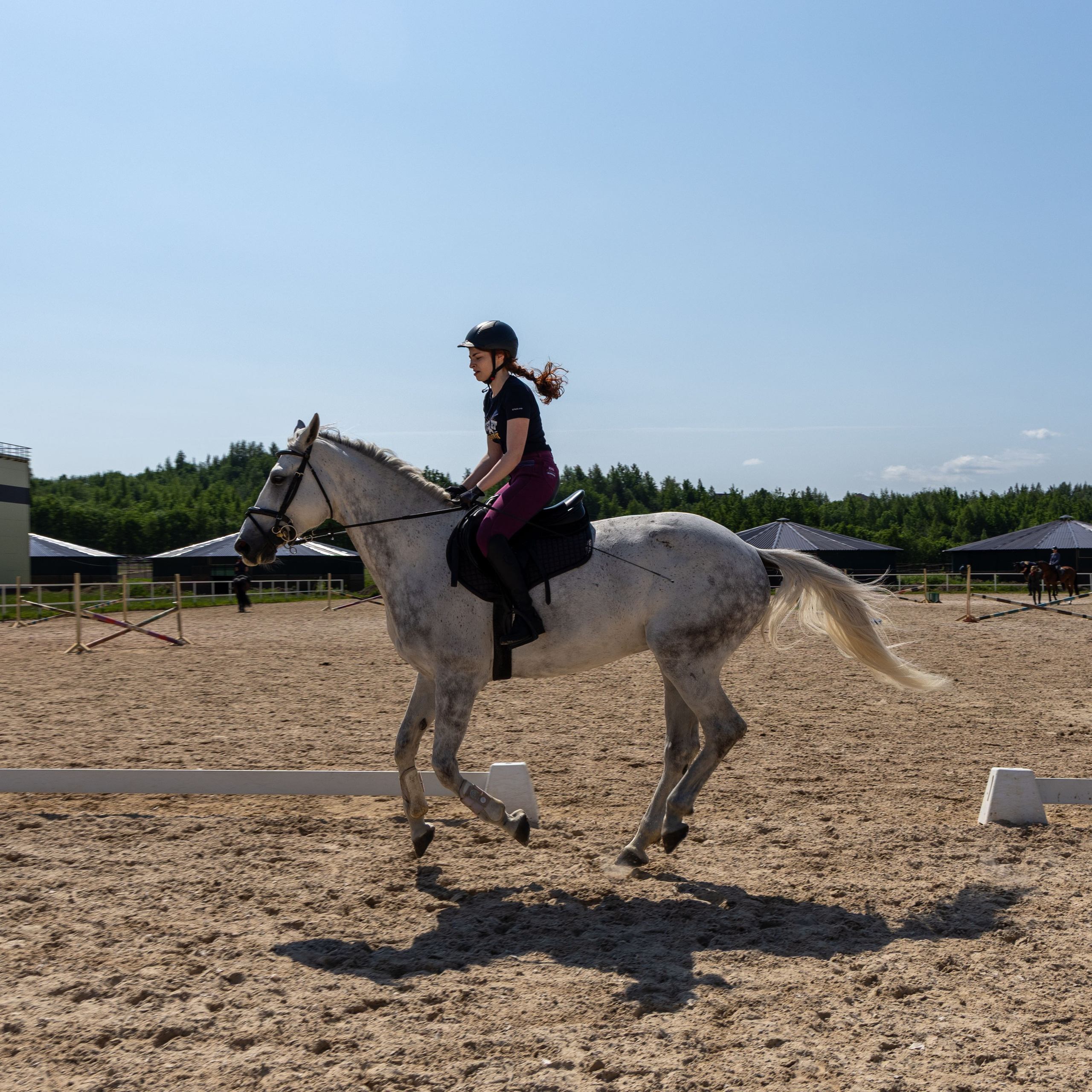 Репортаж.Конная тренировка. Портретный и семейный фотограф Санкт-Петербург