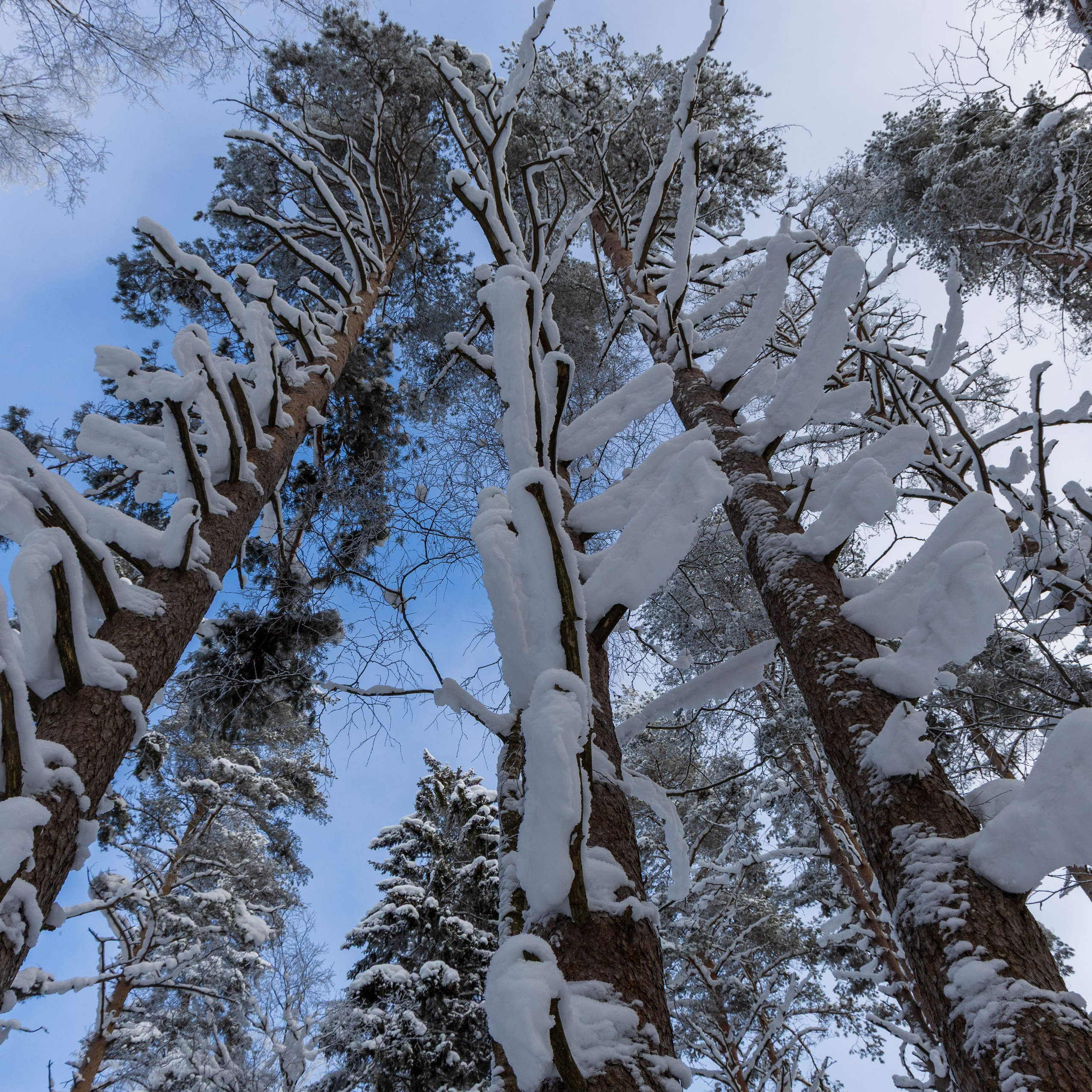 Ретрит с Йоглаборатория февраль 2026. Портретный и семейный фотограф Санкт-Петербург
