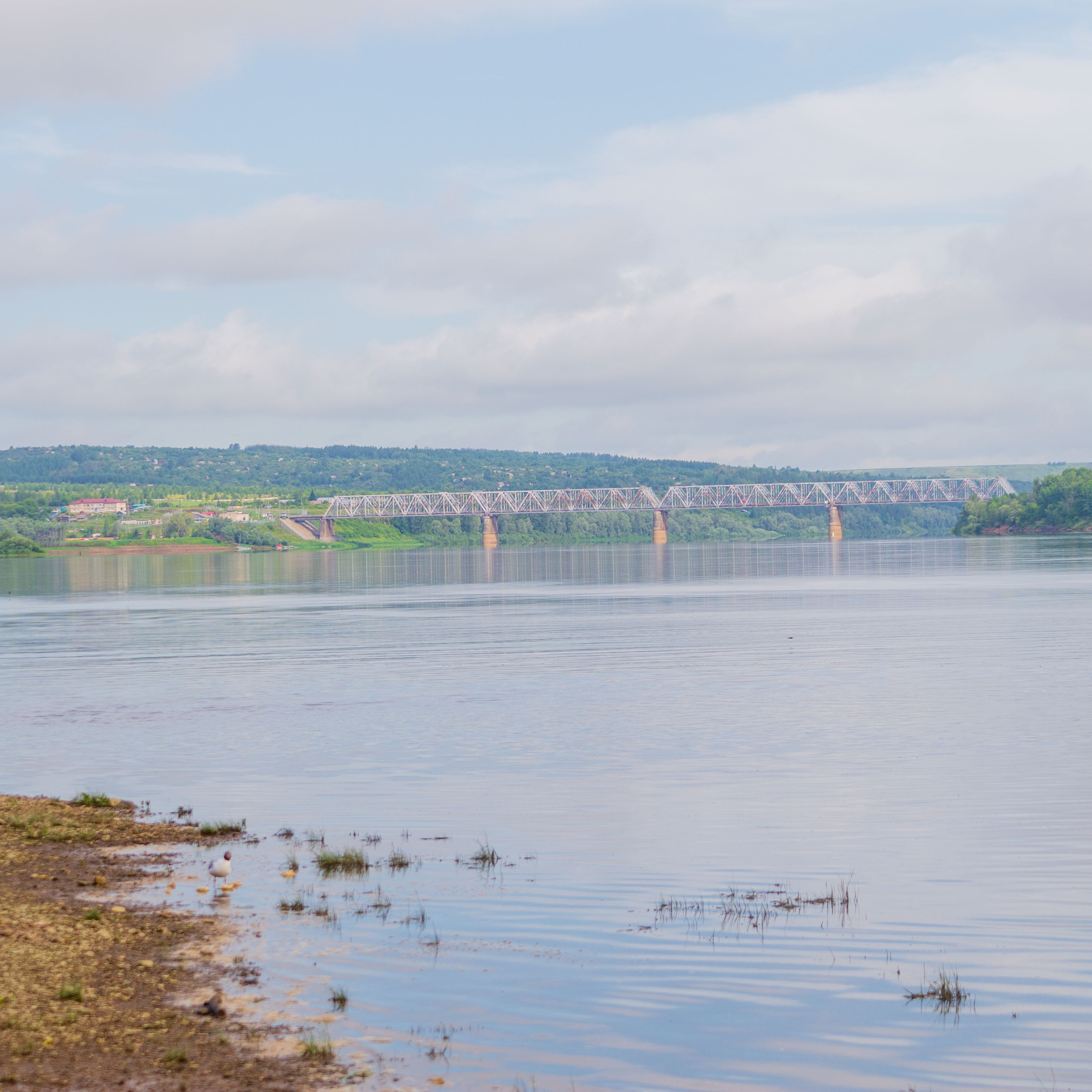Г. Вятские Поляны лето 2025. Портретный и семейный фотограф Санкт-Петербург