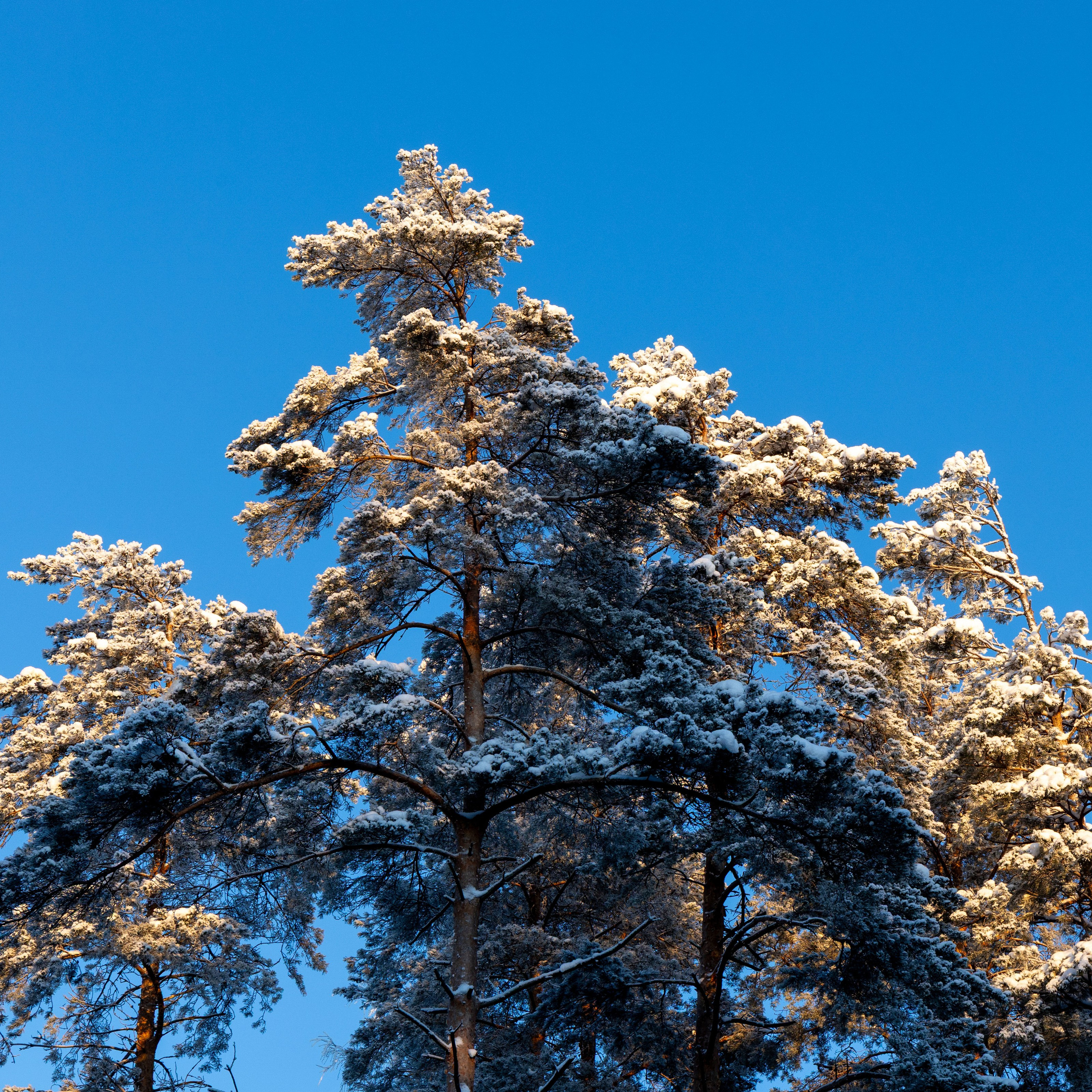 Ретрит с Йоглаборатория февраль 2026. Портретный и семейный фотограф Санкт-Петербург