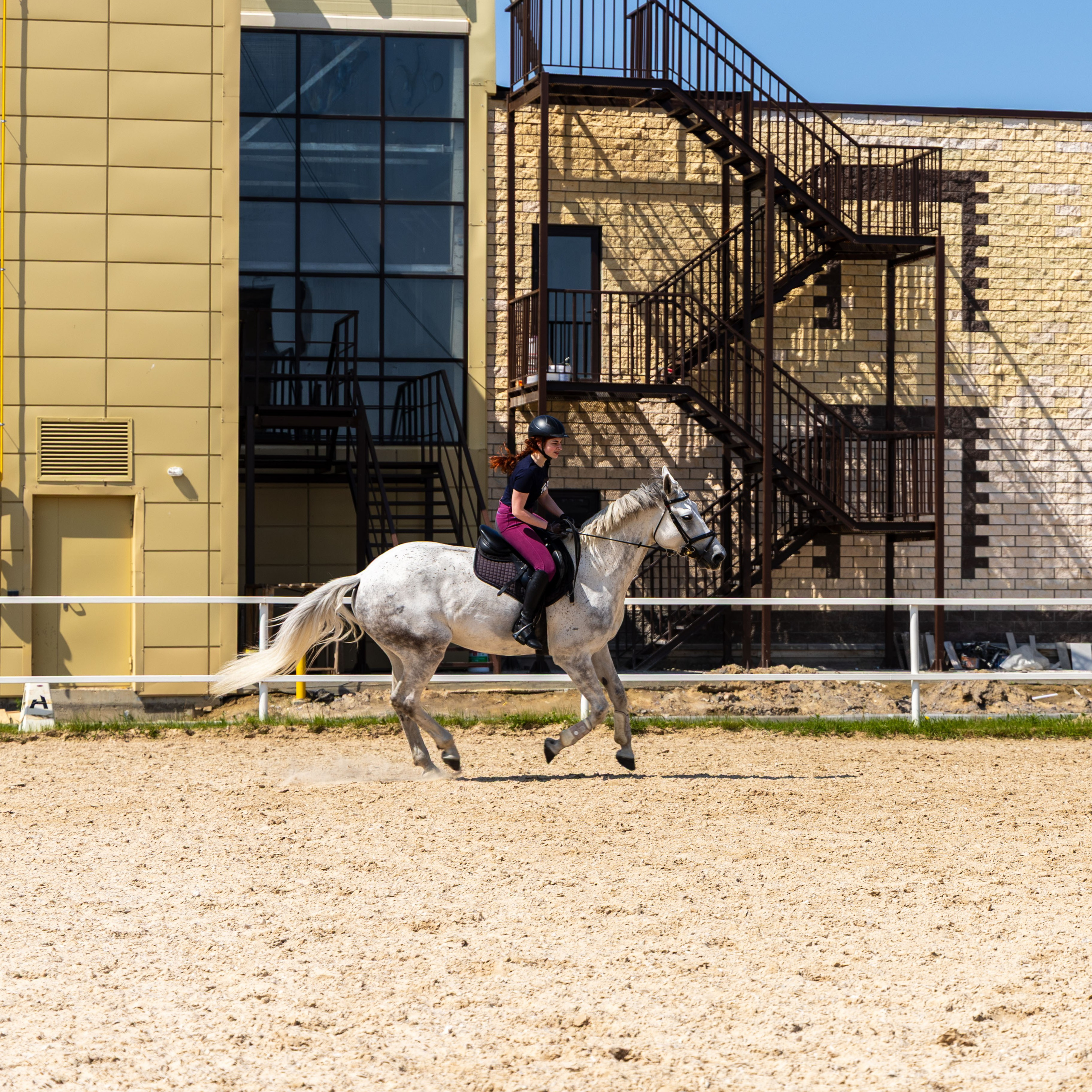Репортаж.Конная тренировка. Портретный и семейный фотограф Санкт-Петербург