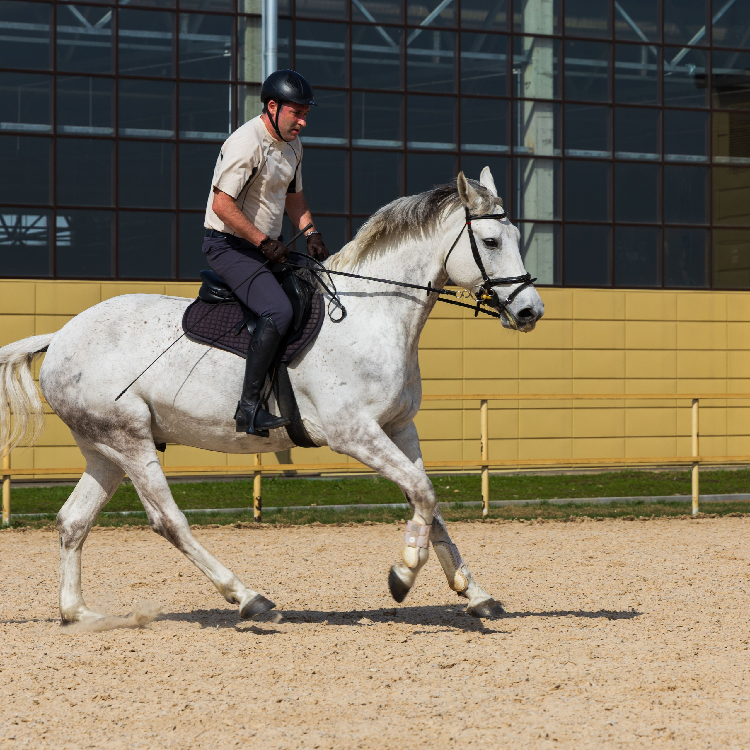 Репортаж.Конная тренировка. Портретный и семейный фотограф Санкт-Петербург
