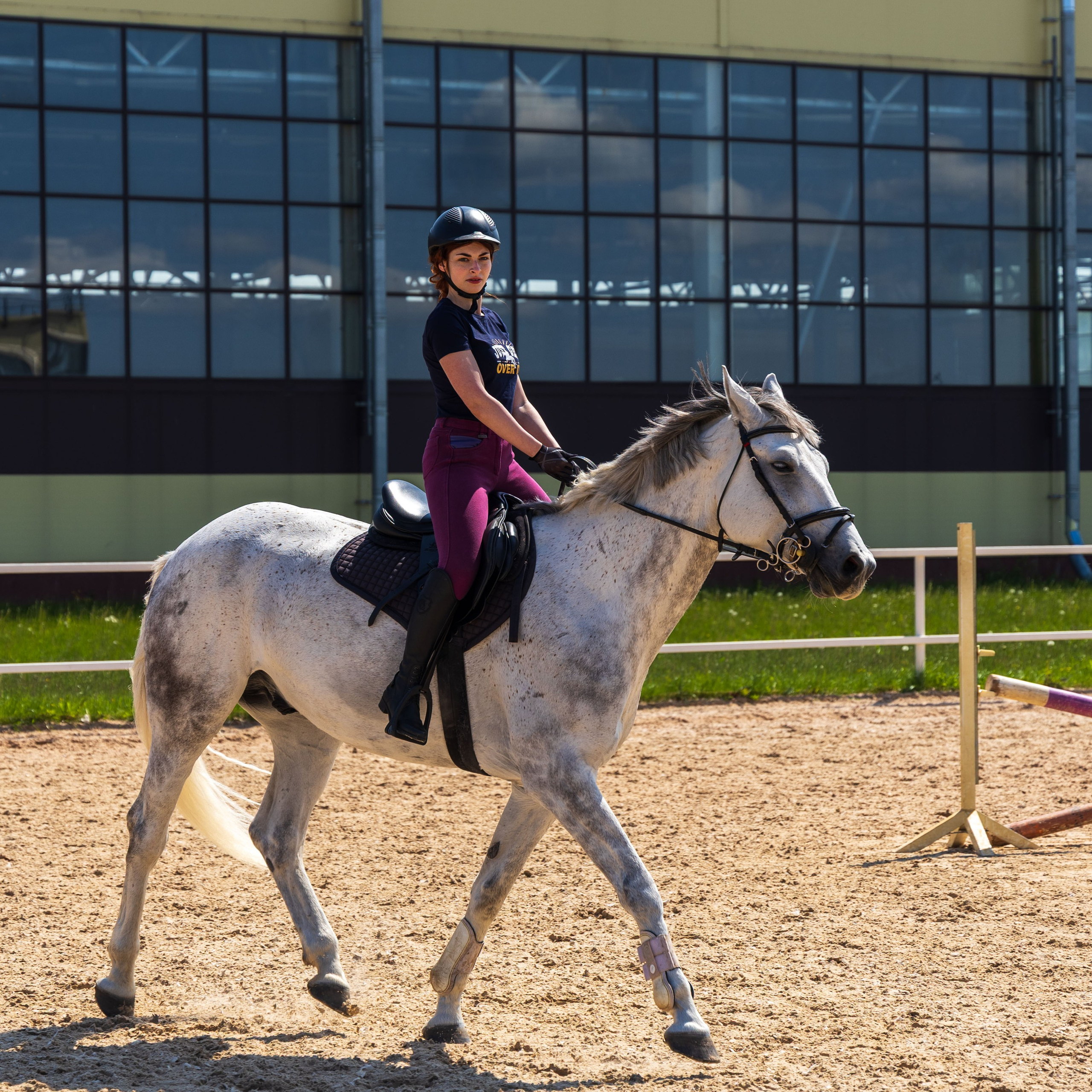 Репортаж.Конная тренировка. Портретный и семейный фотограф Санкт-Петербург