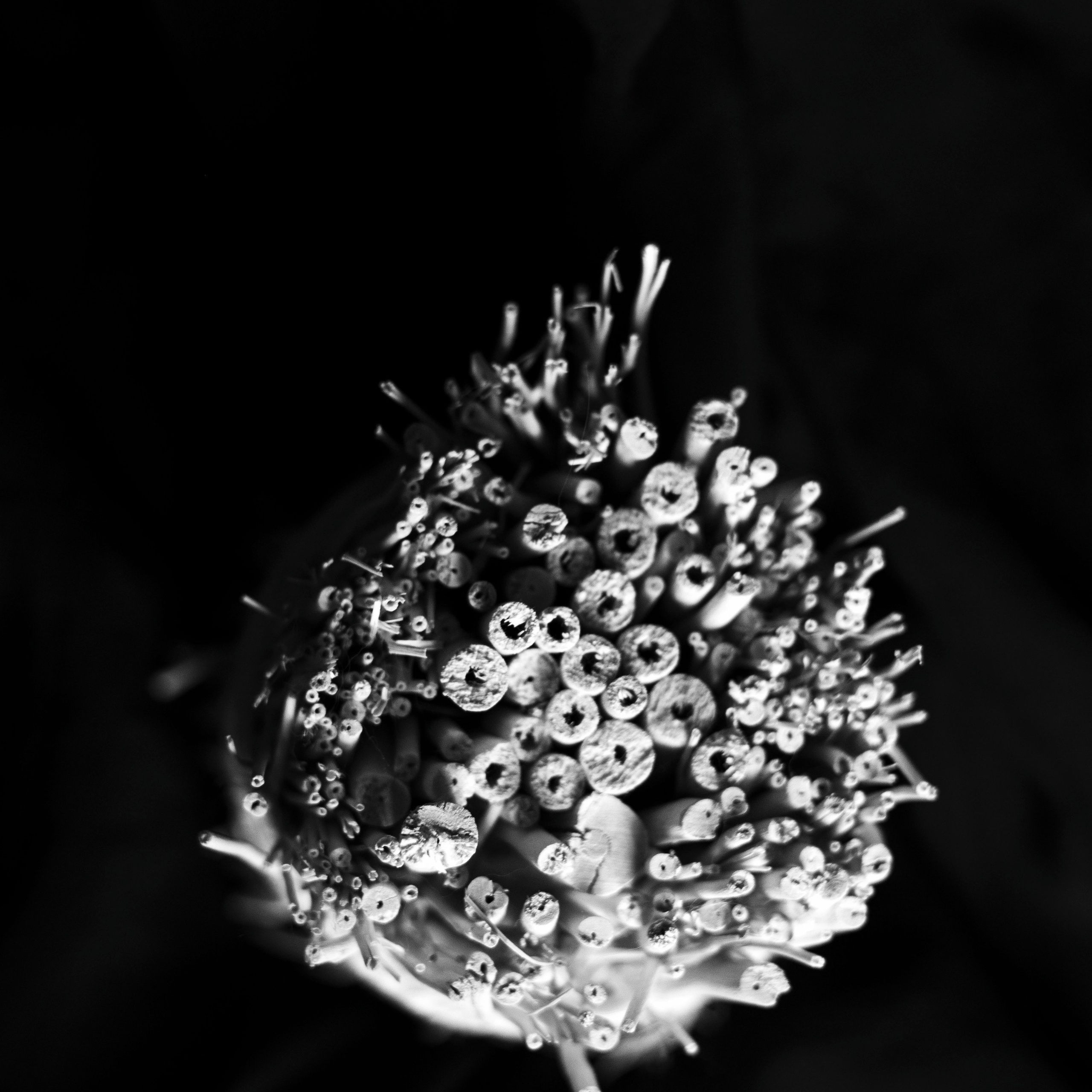 Разности. Портретный и семейный фотограф Санкт-Петербург