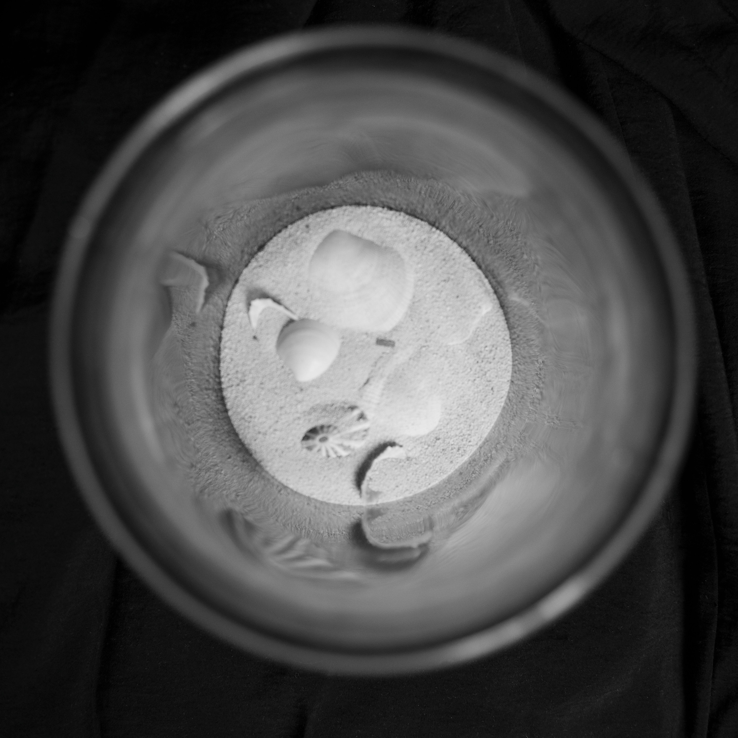 Разности. Портретный и семейный фотограф Санкт-Петербург