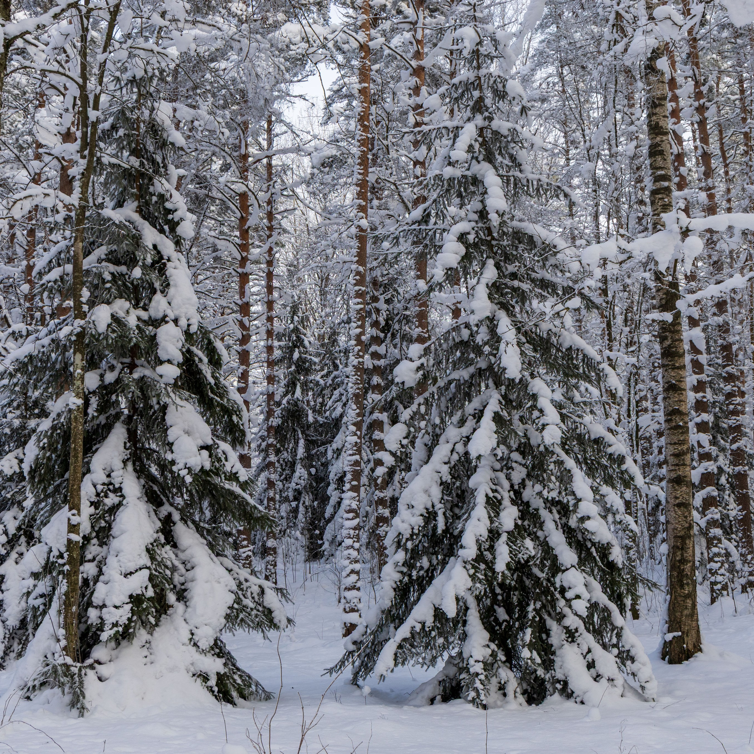 Ретрит с Йоглаборатория февраль 2026. Портретный и семейный фотограф Санкт-Петербург