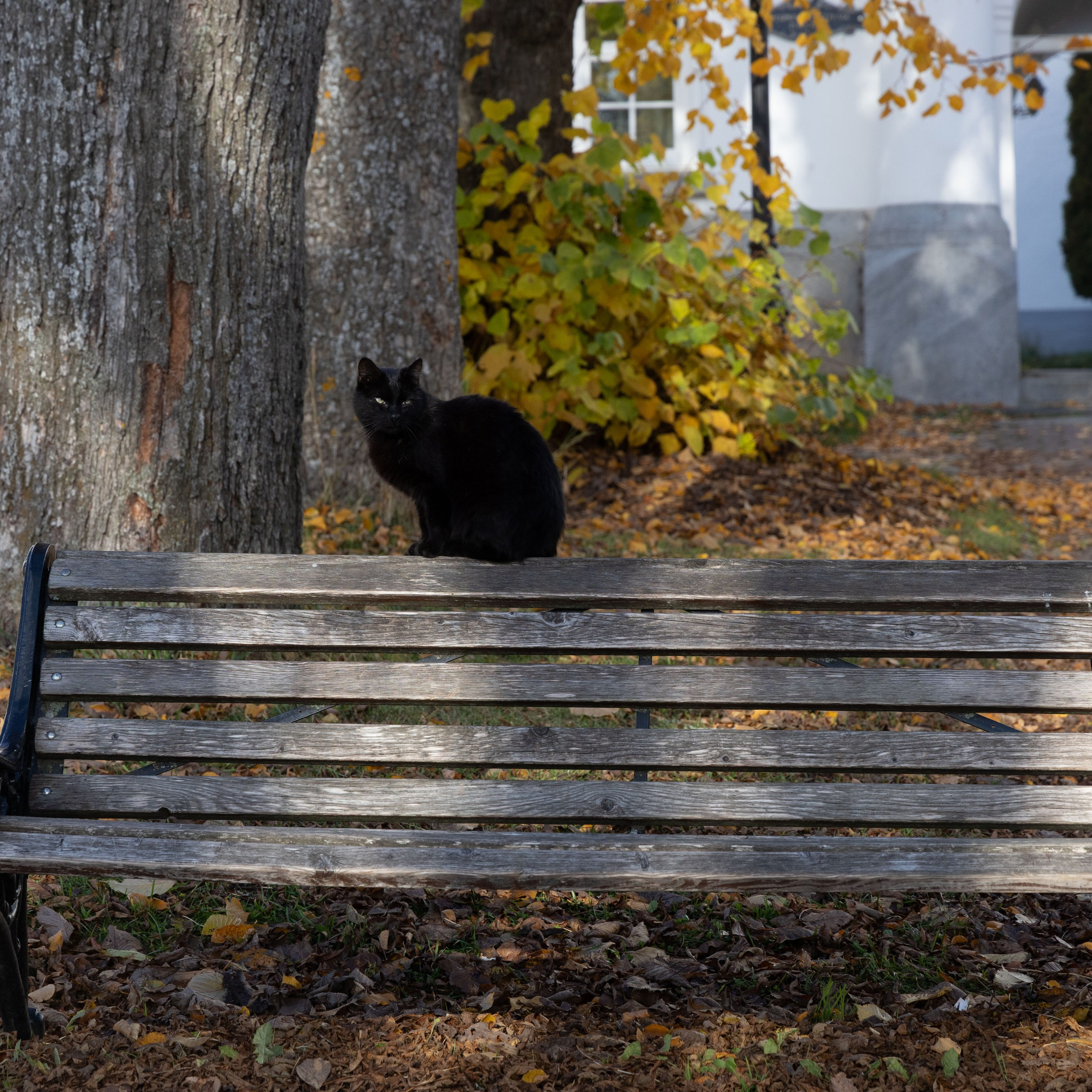 Природа Карелии октябрь 2025. Портретный и семейный фотограф Санкт-Петербург