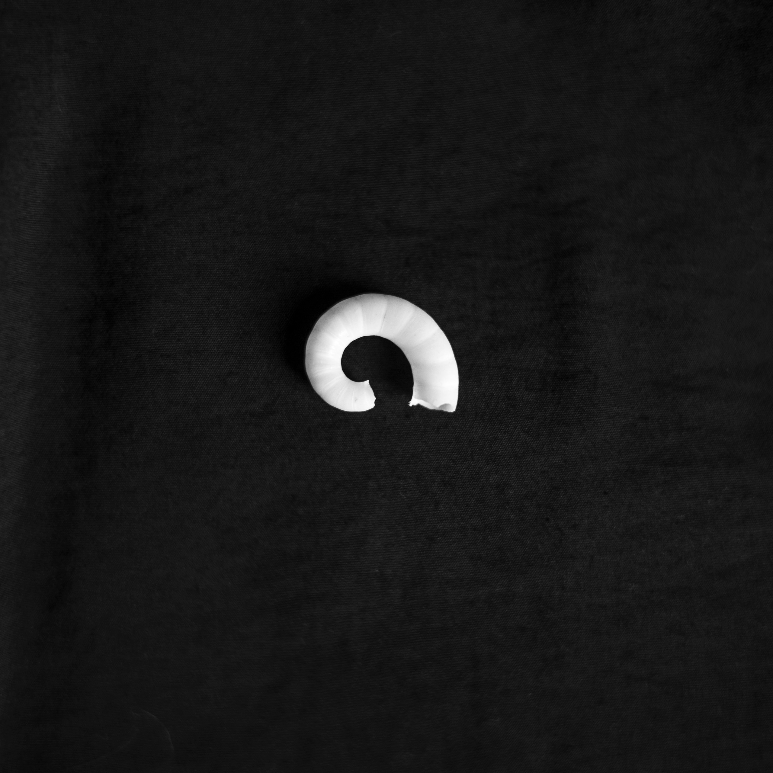 Разности. Портретный и семейный фотограф Санкт-Петербург