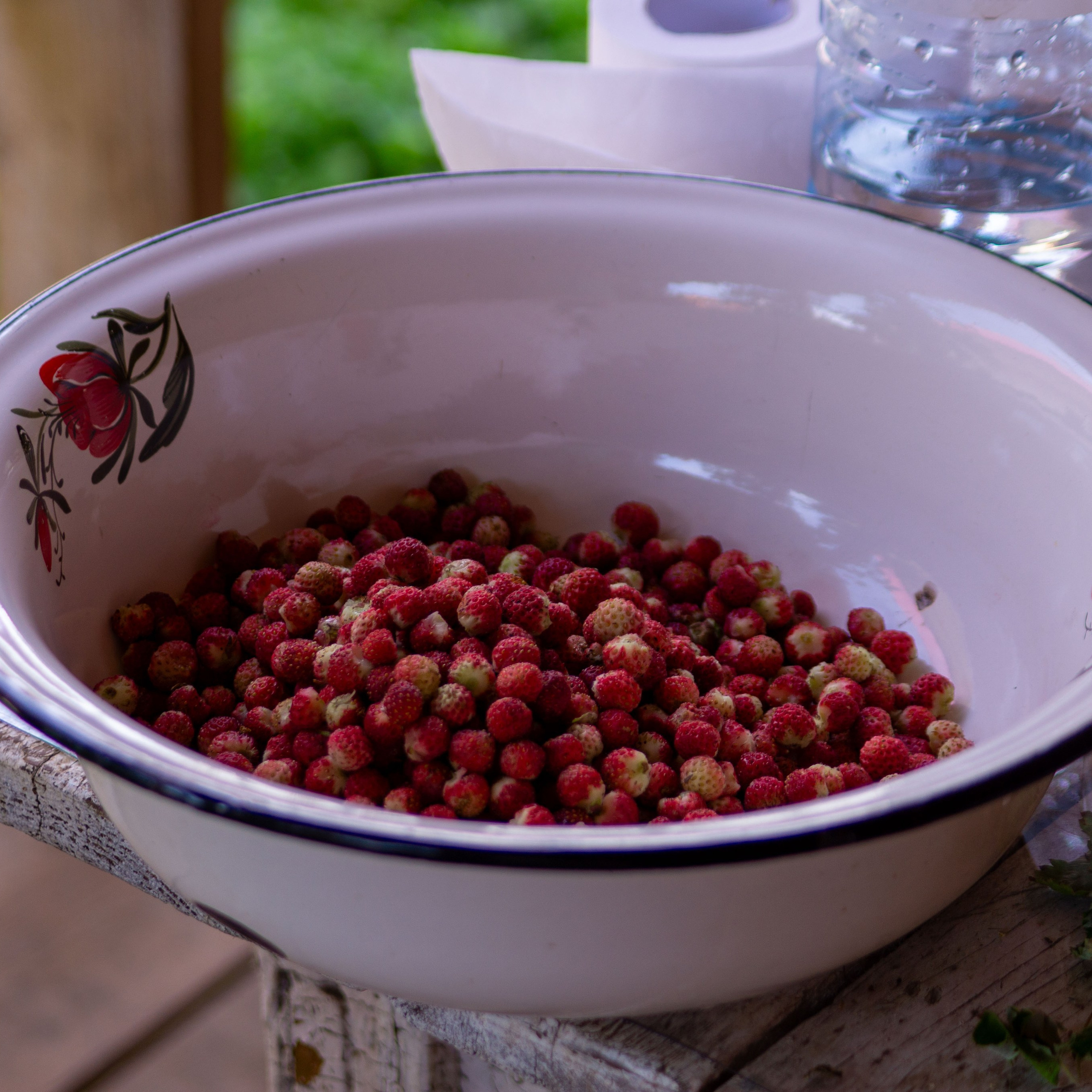 Г. Вятские Поляны лето 2025. Портретный и семейный фотограф Санкт-Петербург